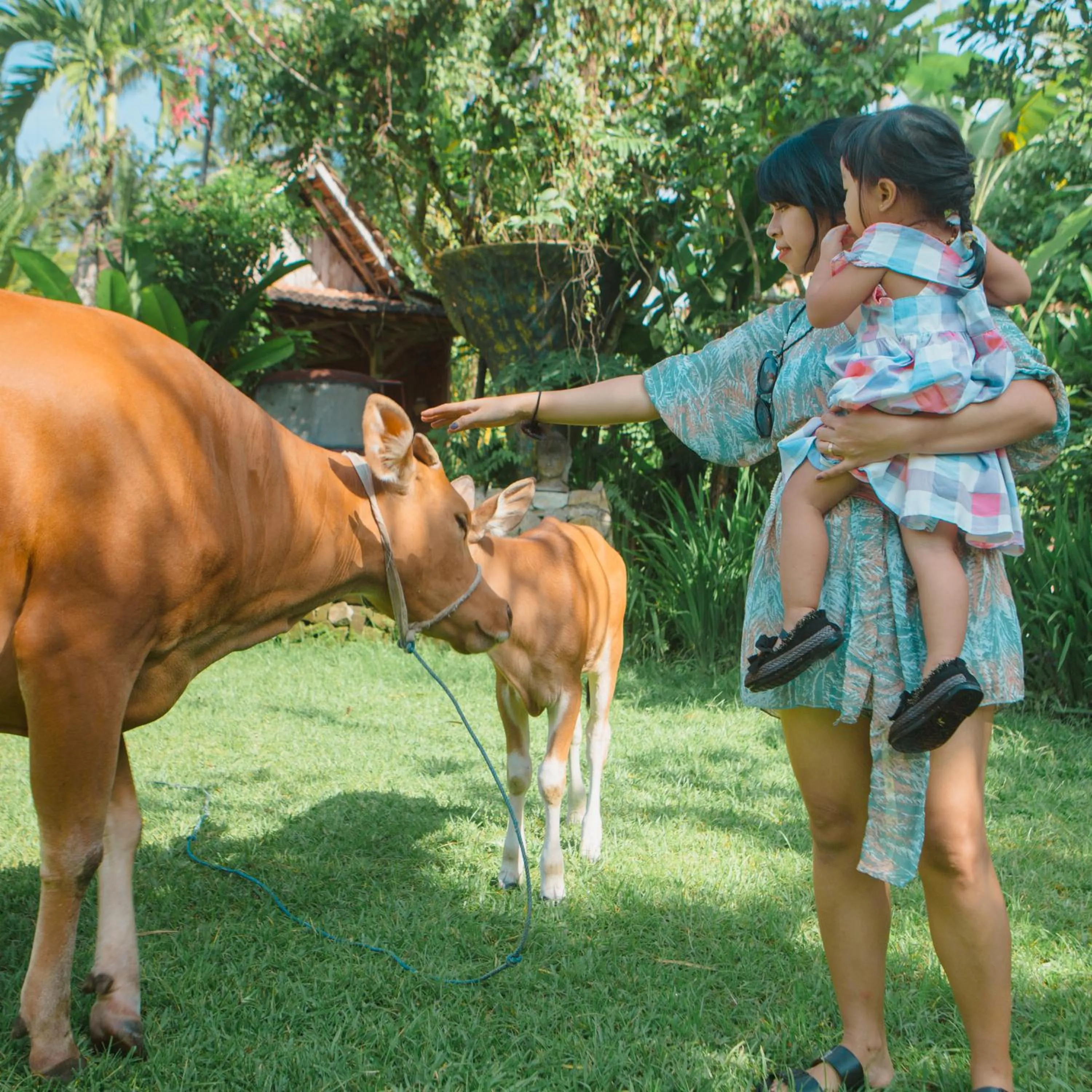 Animals in Keramas Sacred River Retreat Resort and Villa
