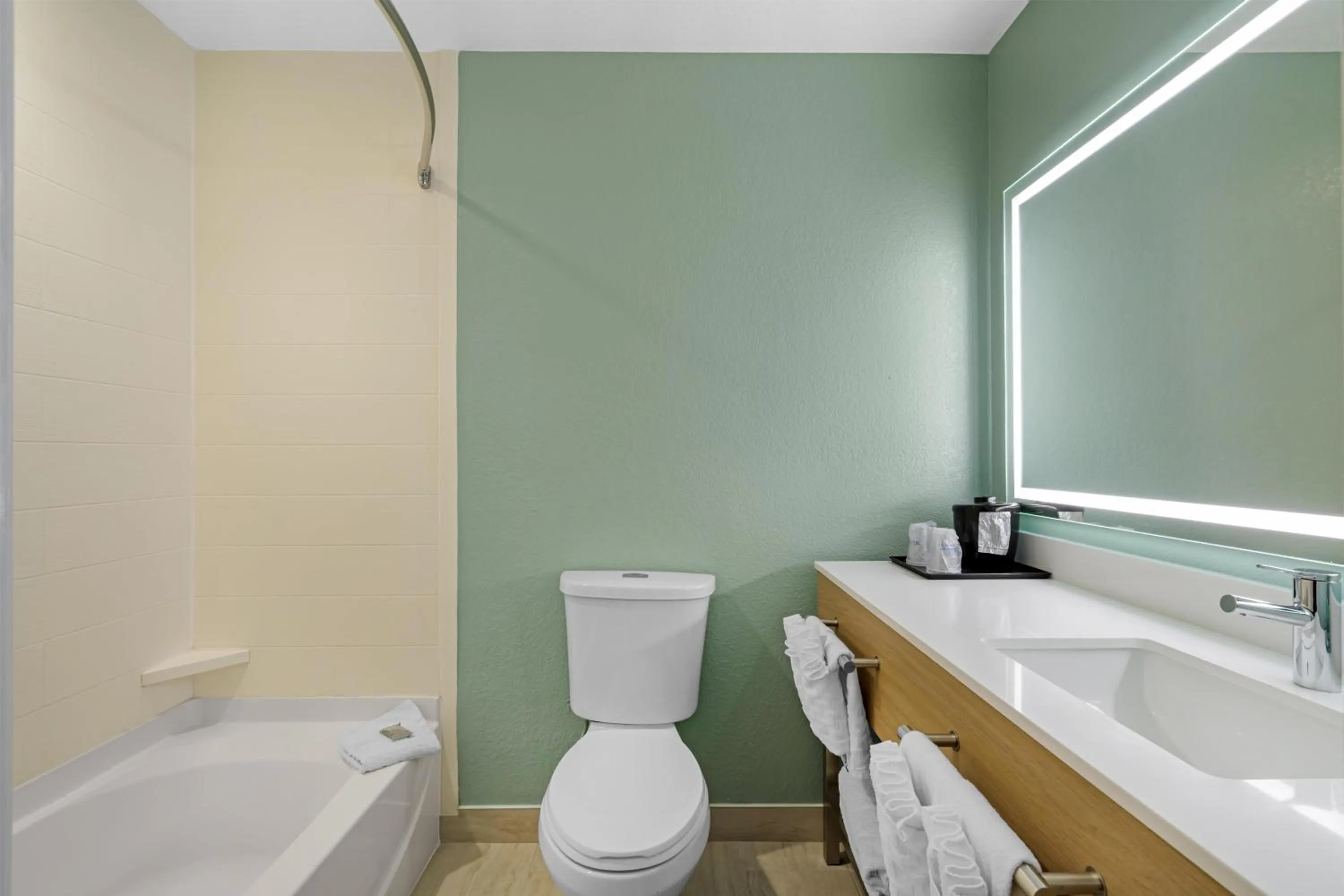 Bathroom in Best Western Wesley Chapel