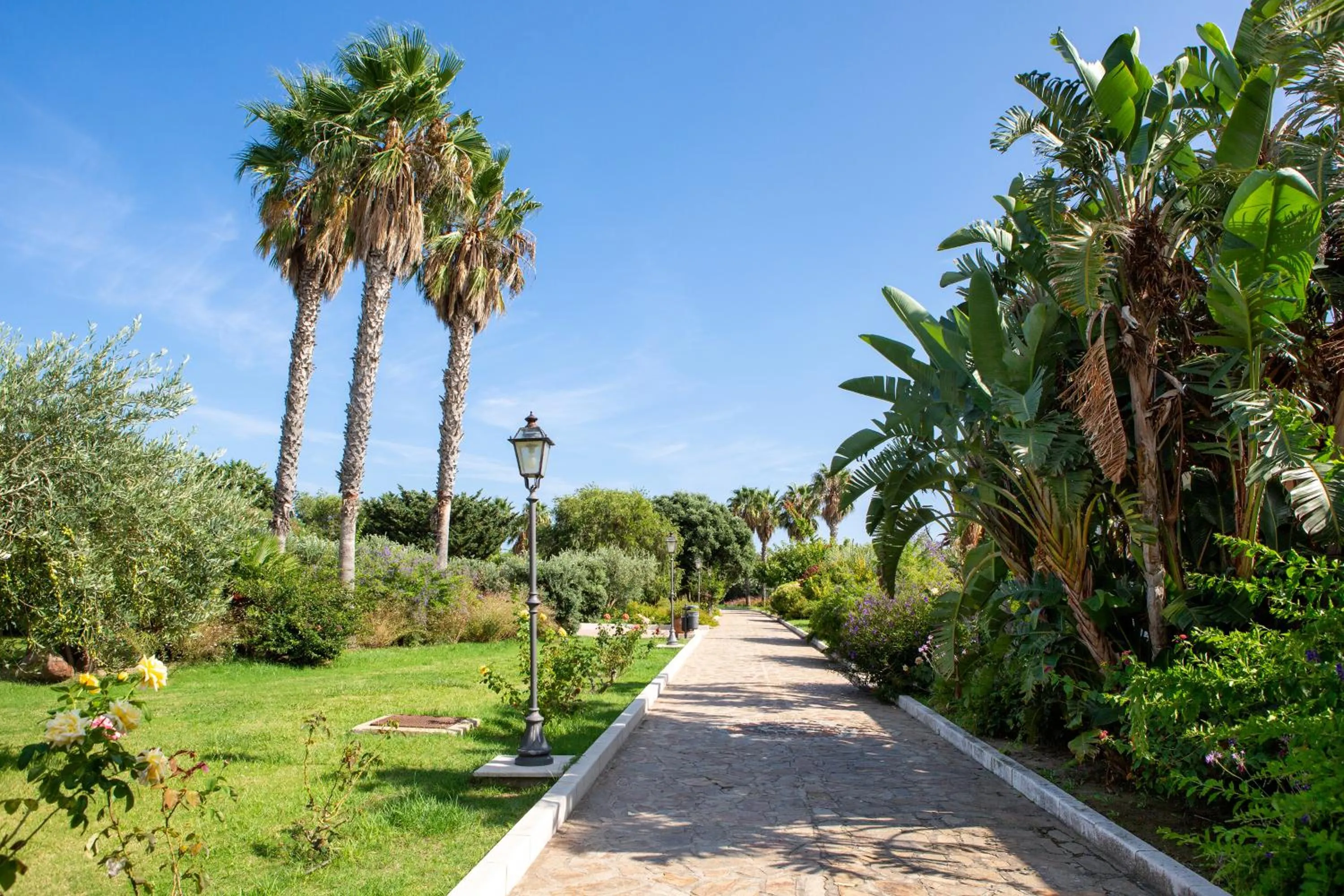 Garden in Club Hotel Marina Beach
