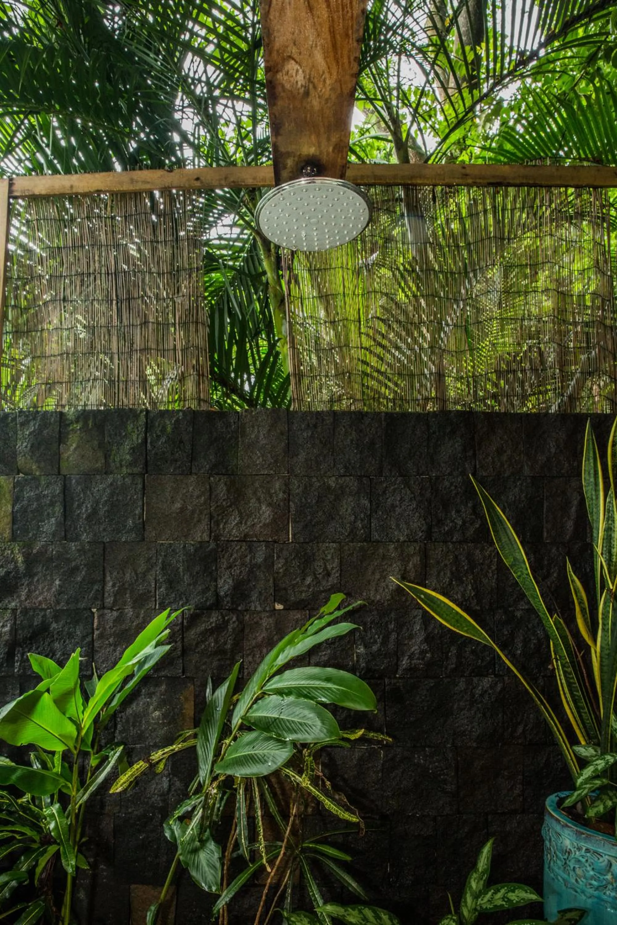 Ocio Villas Mal Pais