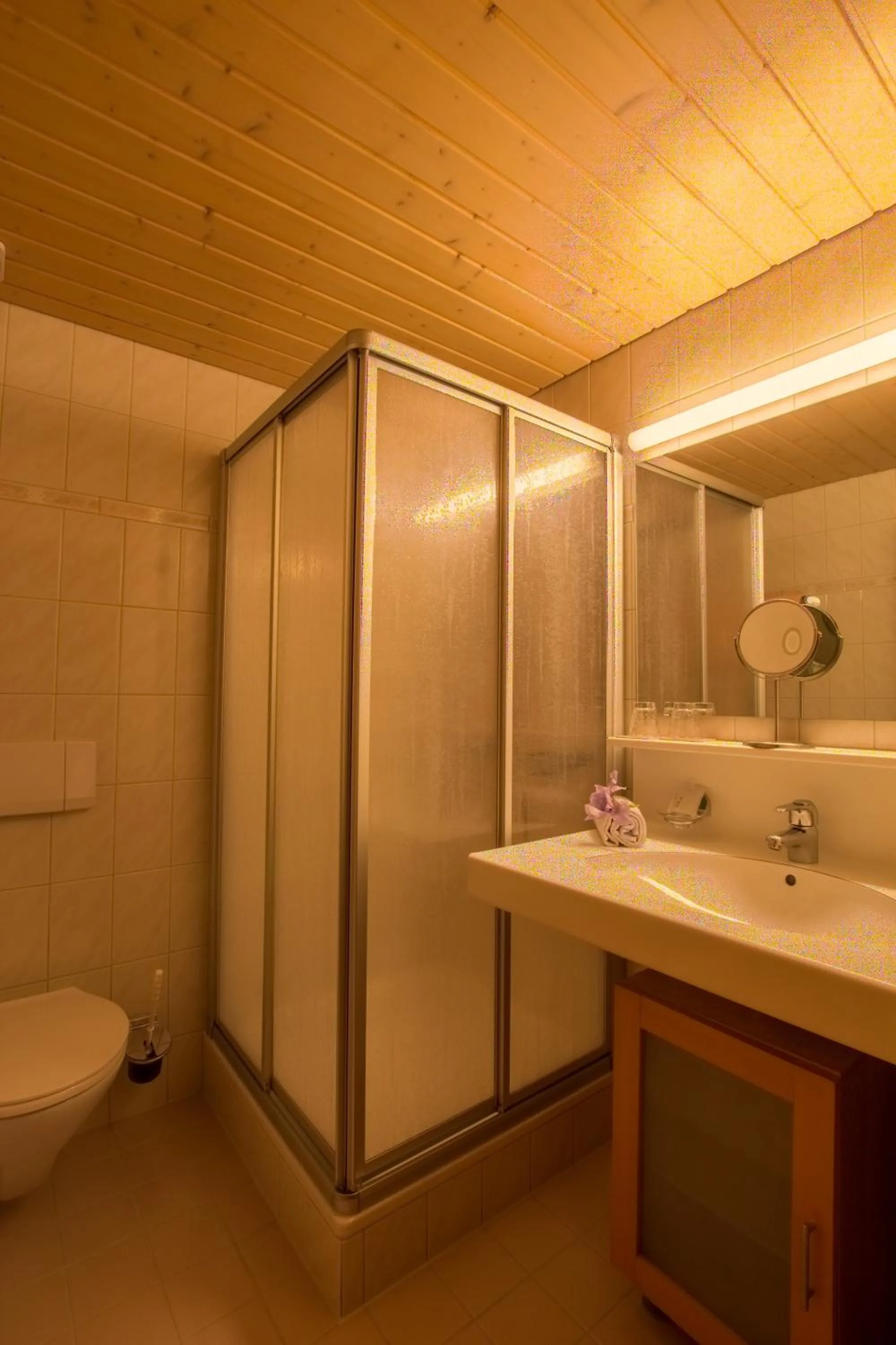 Shower in Pension Christophorus Hotel Garni