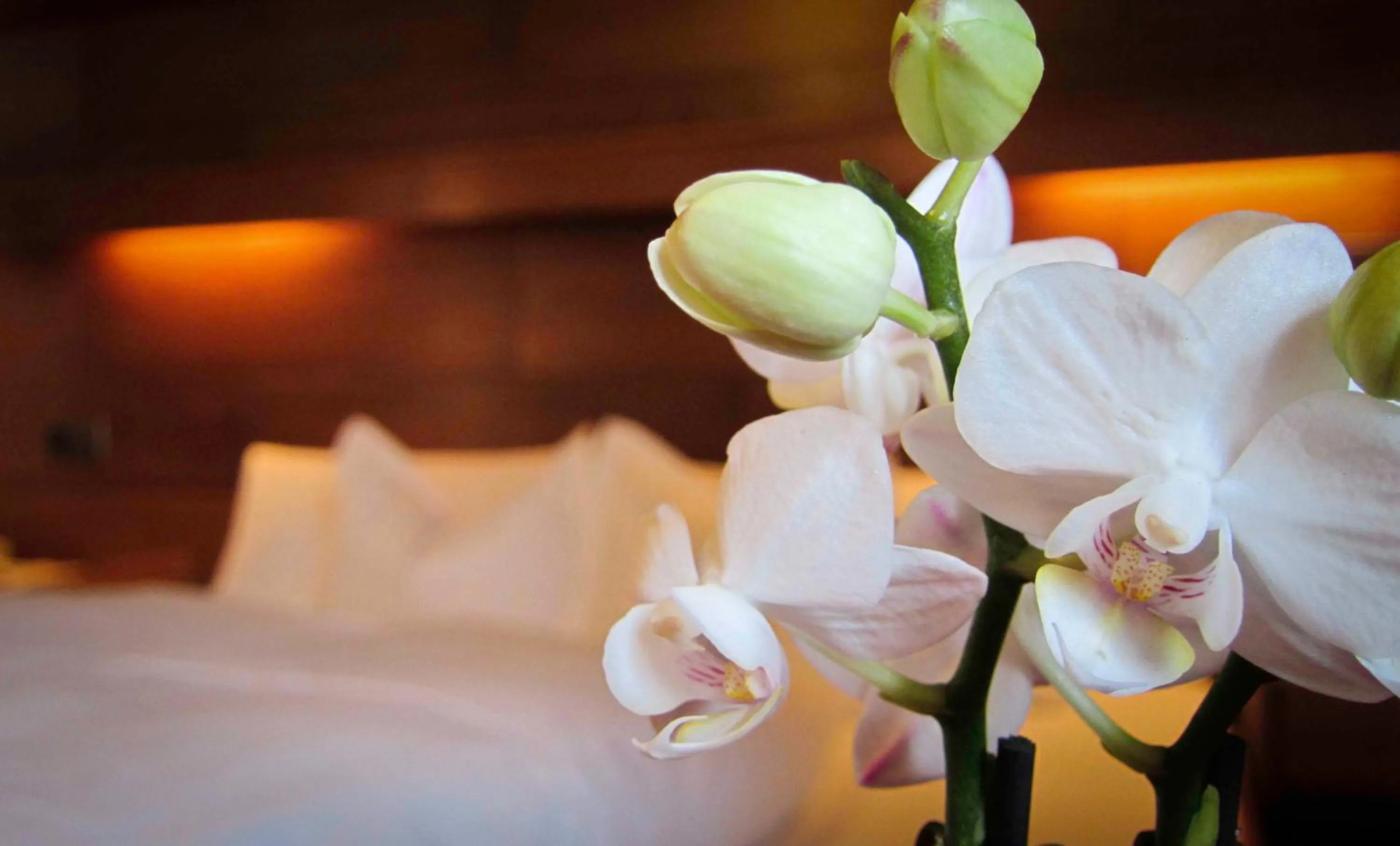 Decorative detail, Bed in Pension Christophorus Hotel Garni
