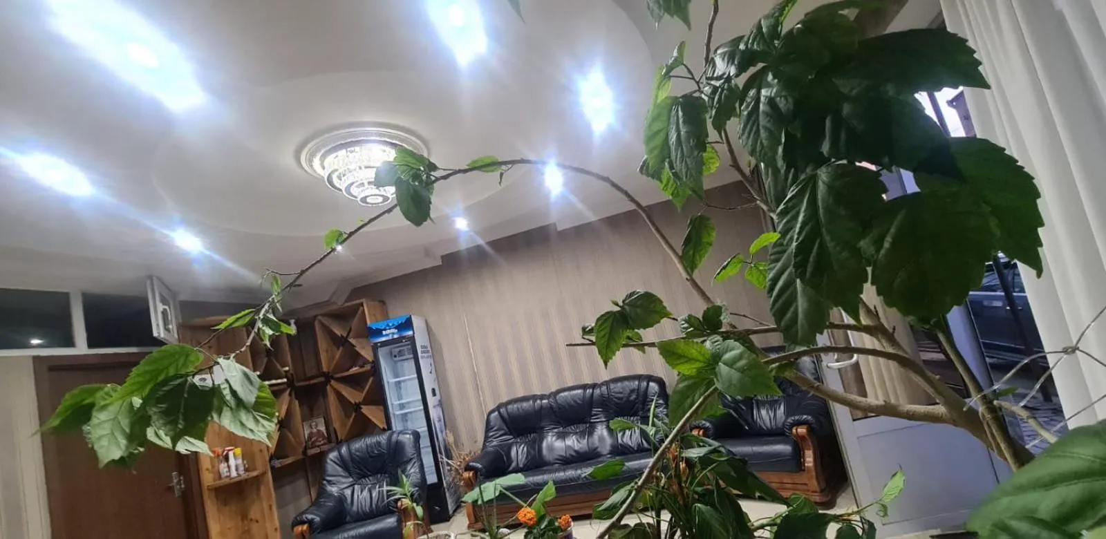 My House in Akhaltsikhe