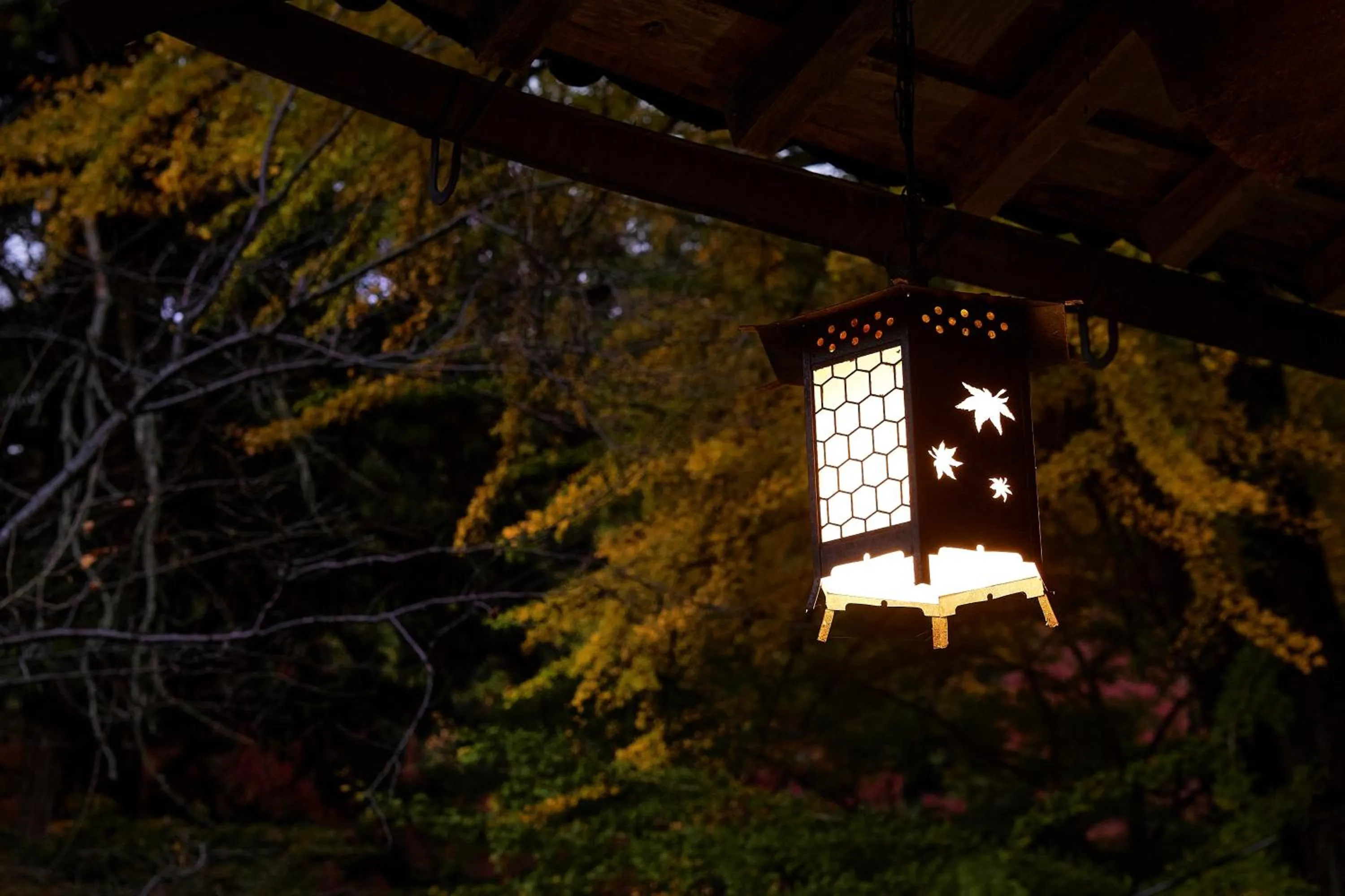 Property logo or sign in Ryokan Koyokan