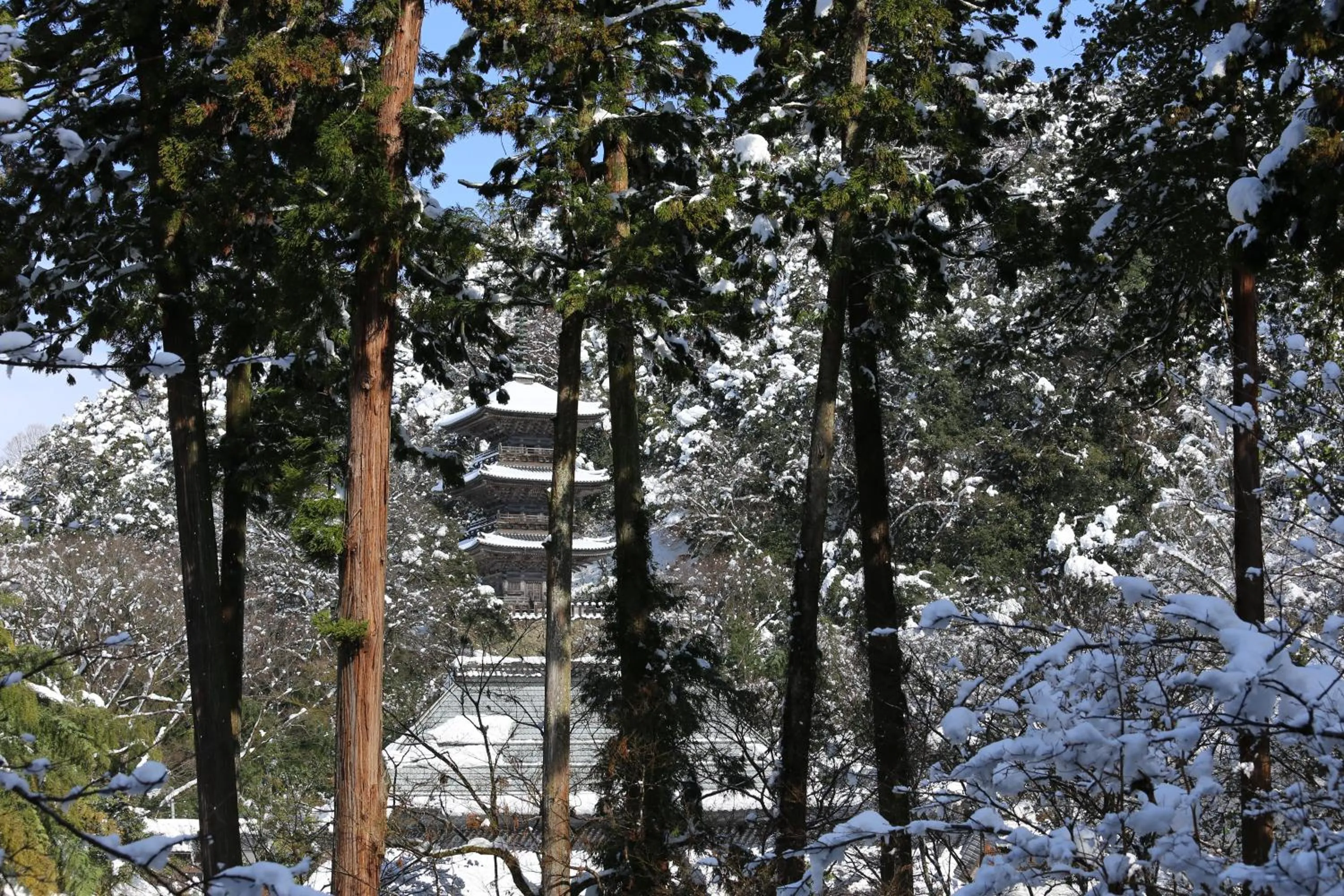 Natural landscape in Ryokan Koyokan
