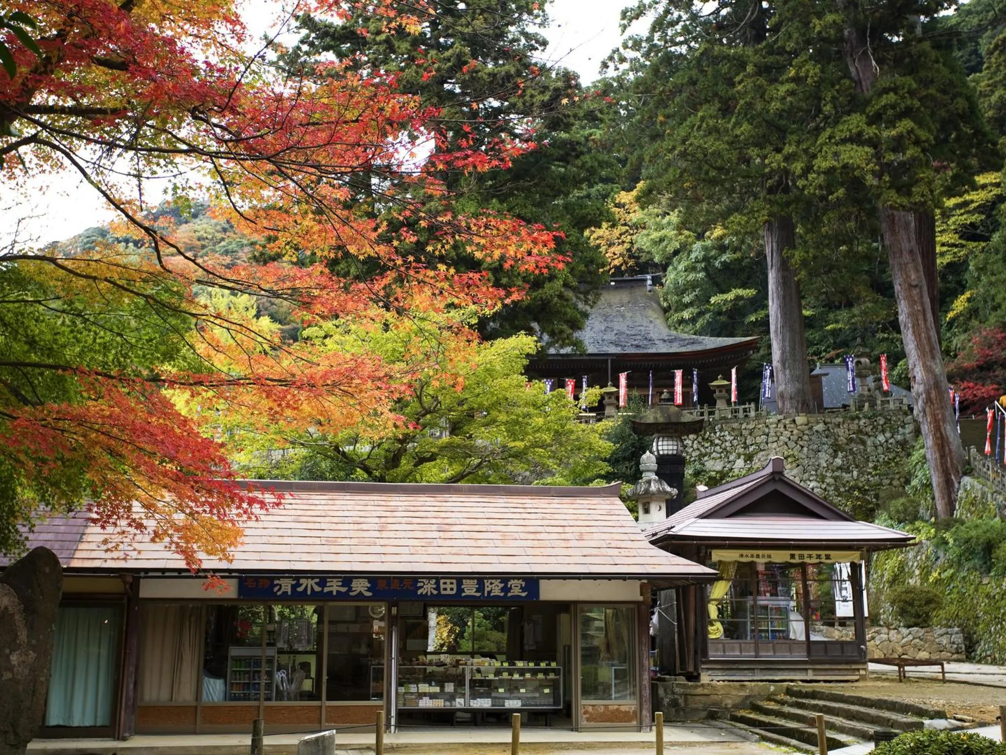 Autumn in Ryokan Koyokan