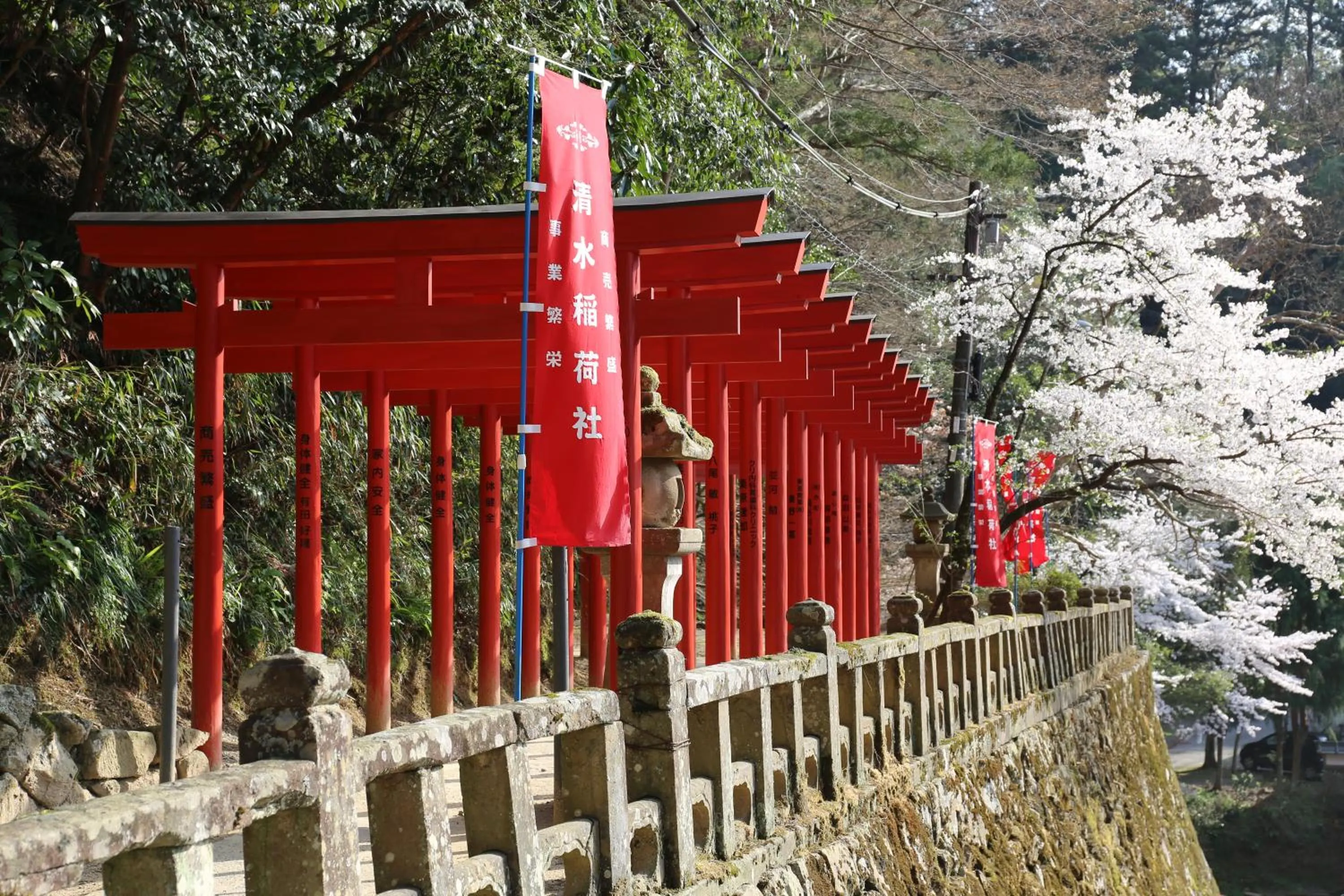 Natural landscape in Ryokan Koyokan