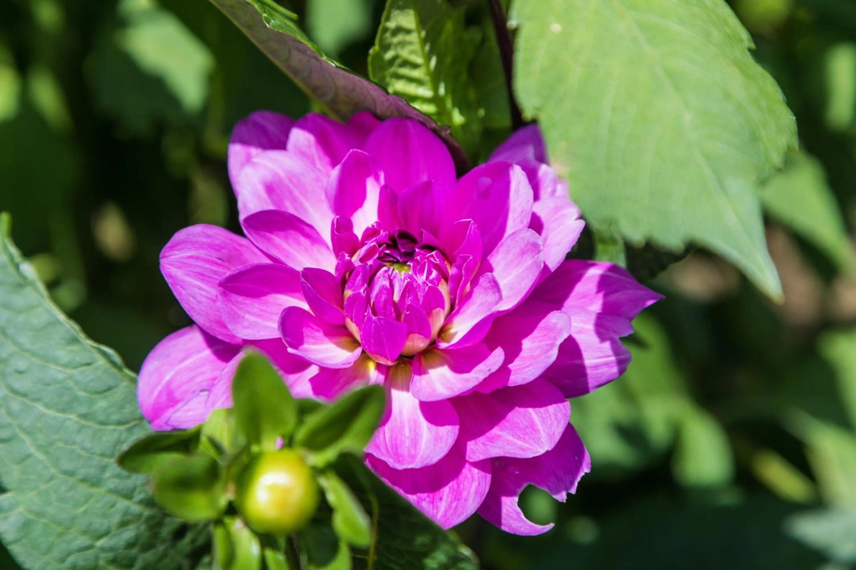 Floor plan in Hotel & Spa Cacciatori