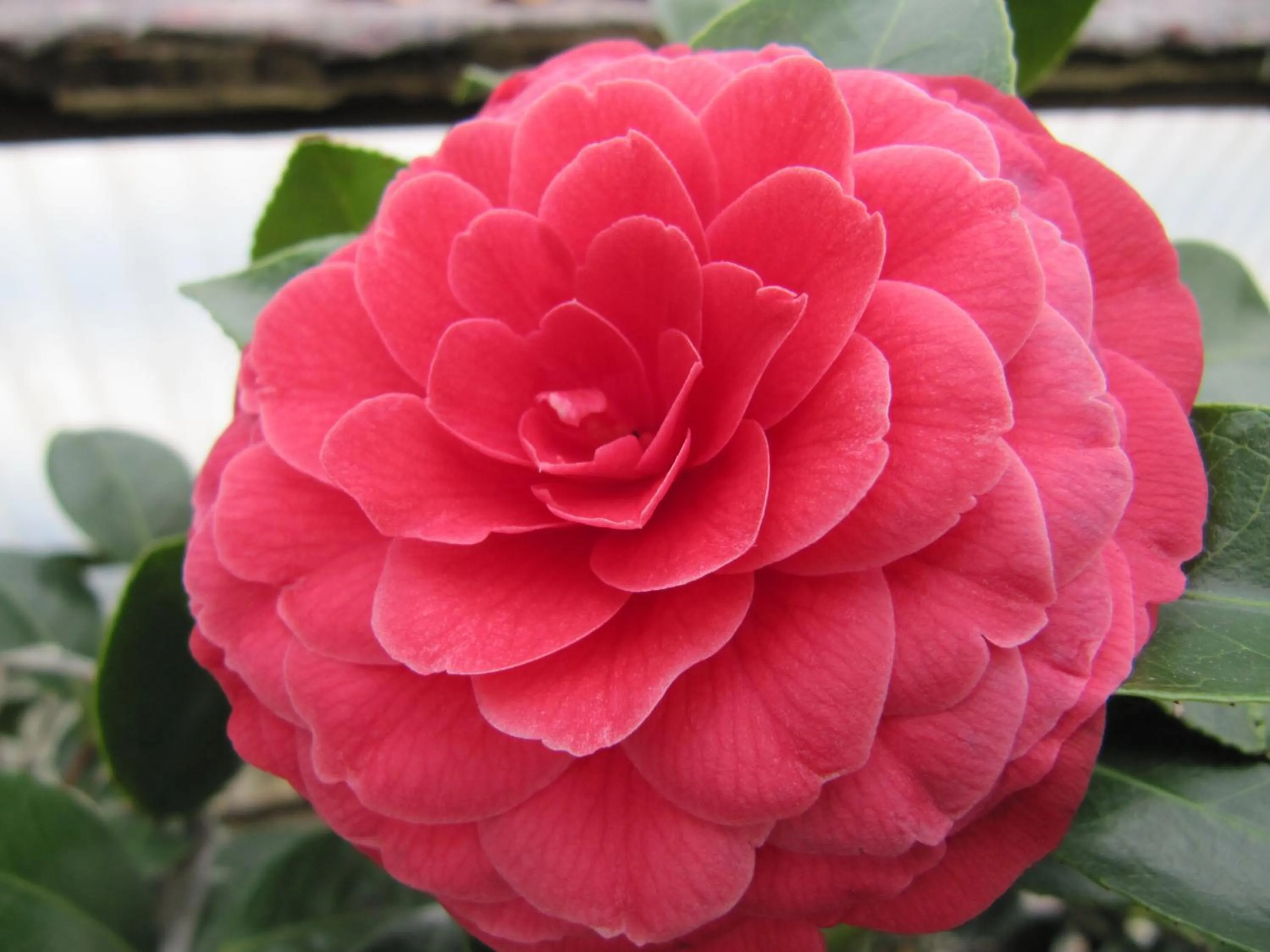 Other in Hotel & Spa Cacciatori