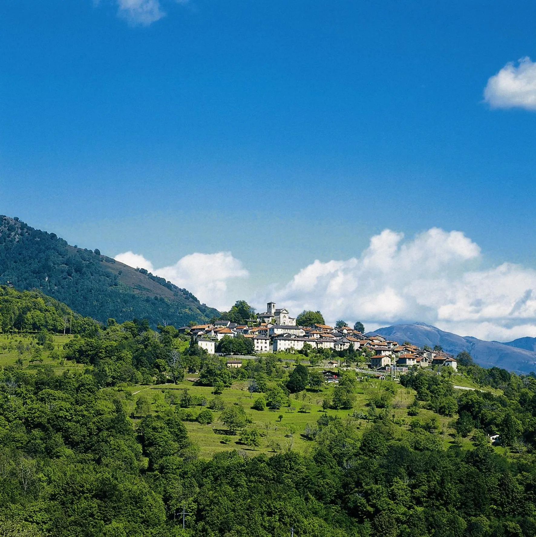 Nearby landmark in Hotel & Spa Cacciatori