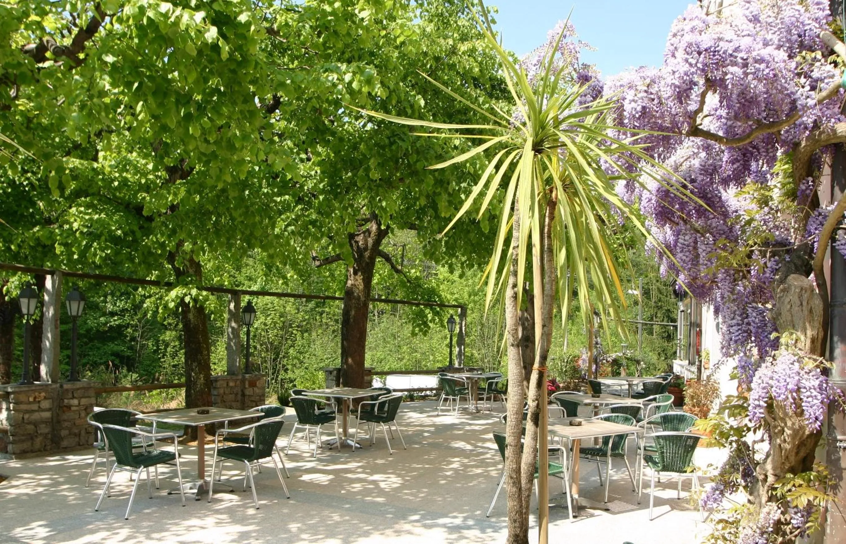 Balcony/Terrace in Hotel & Spa Cacciatori