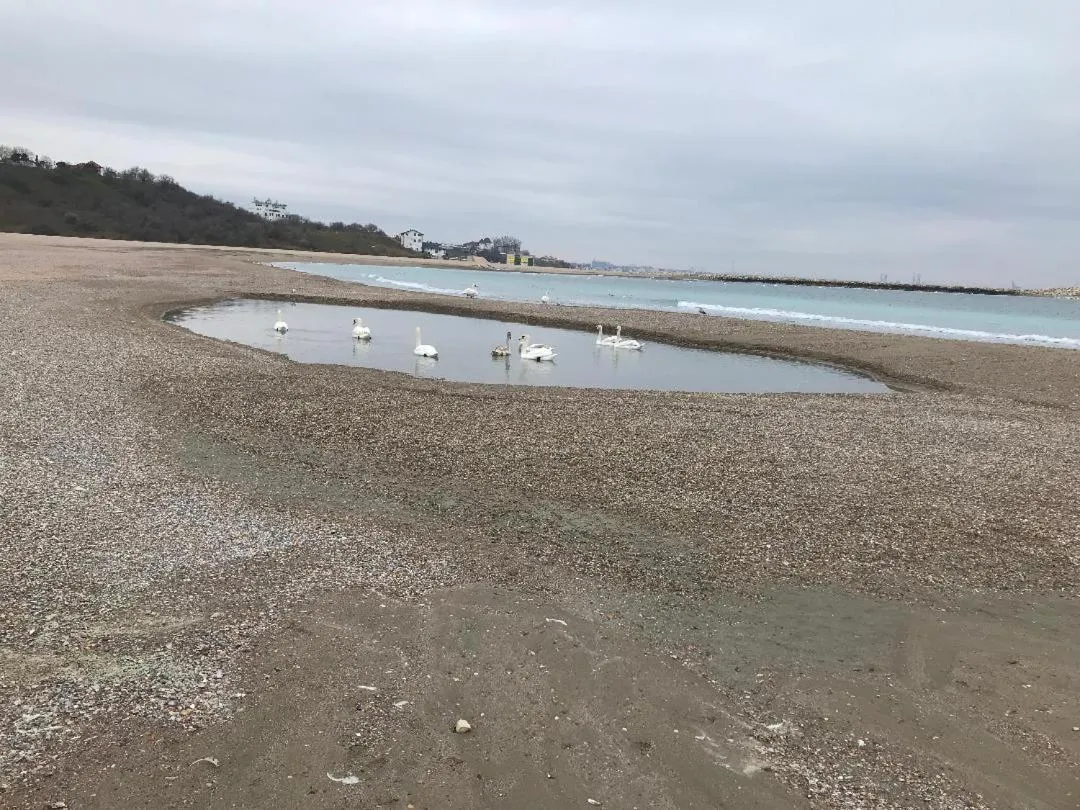 Beach in Claudia