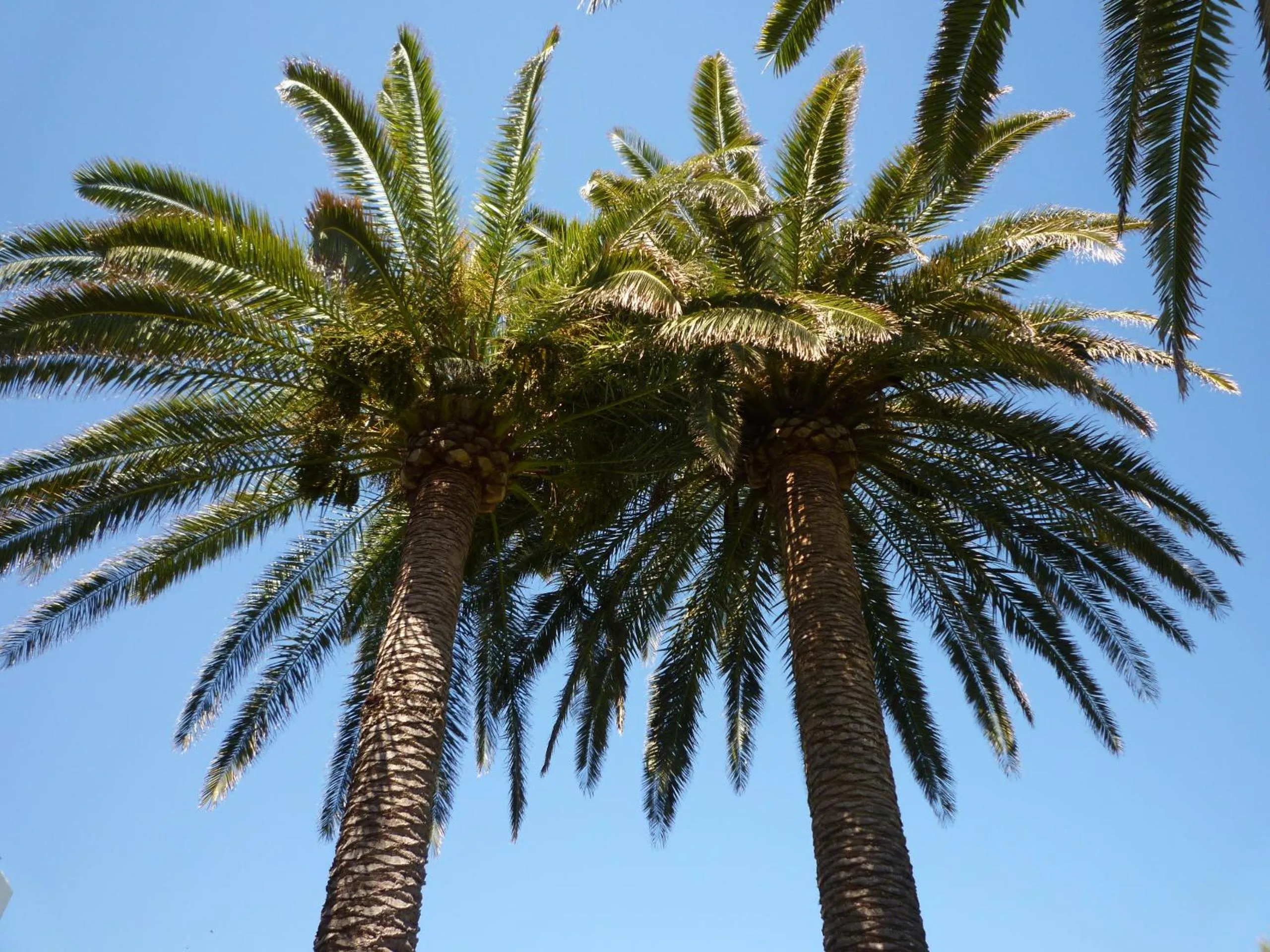 Facade/entrance in Apartamentos Parque Mar