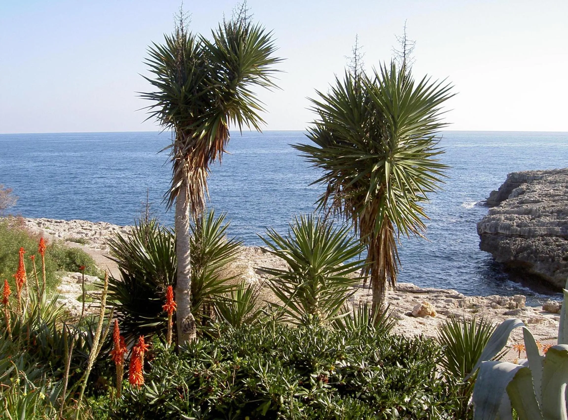 Facade/entrance in Apartamentos Parque Mar