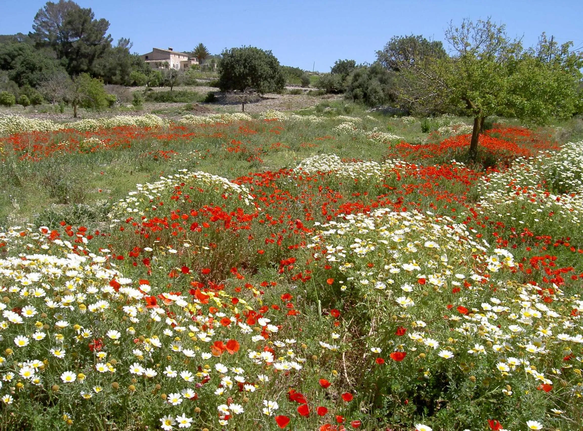 Area and facilities in Apartamentos Parque Mar