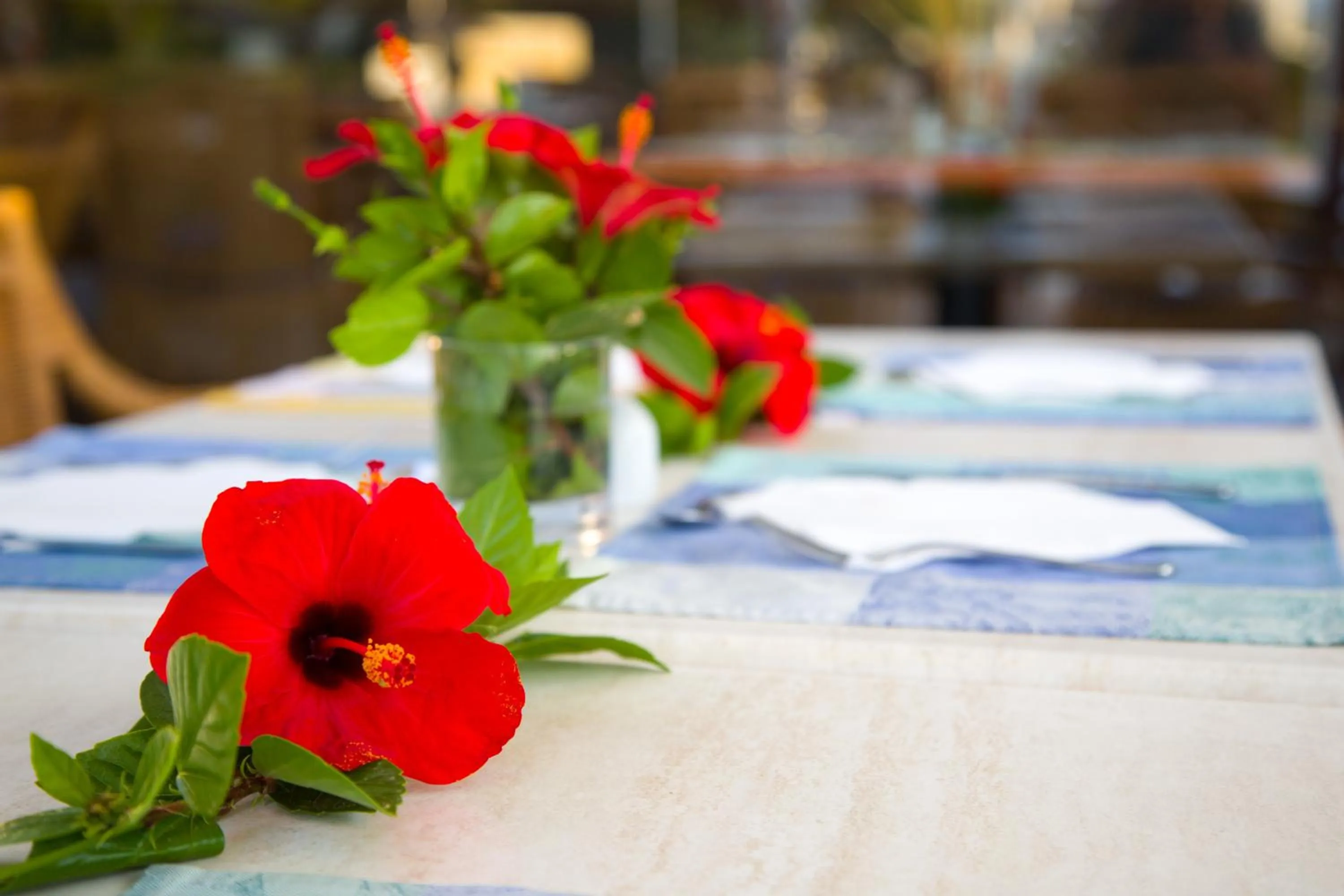 Restaurant/places to eat in Apartamentos Parque Mar