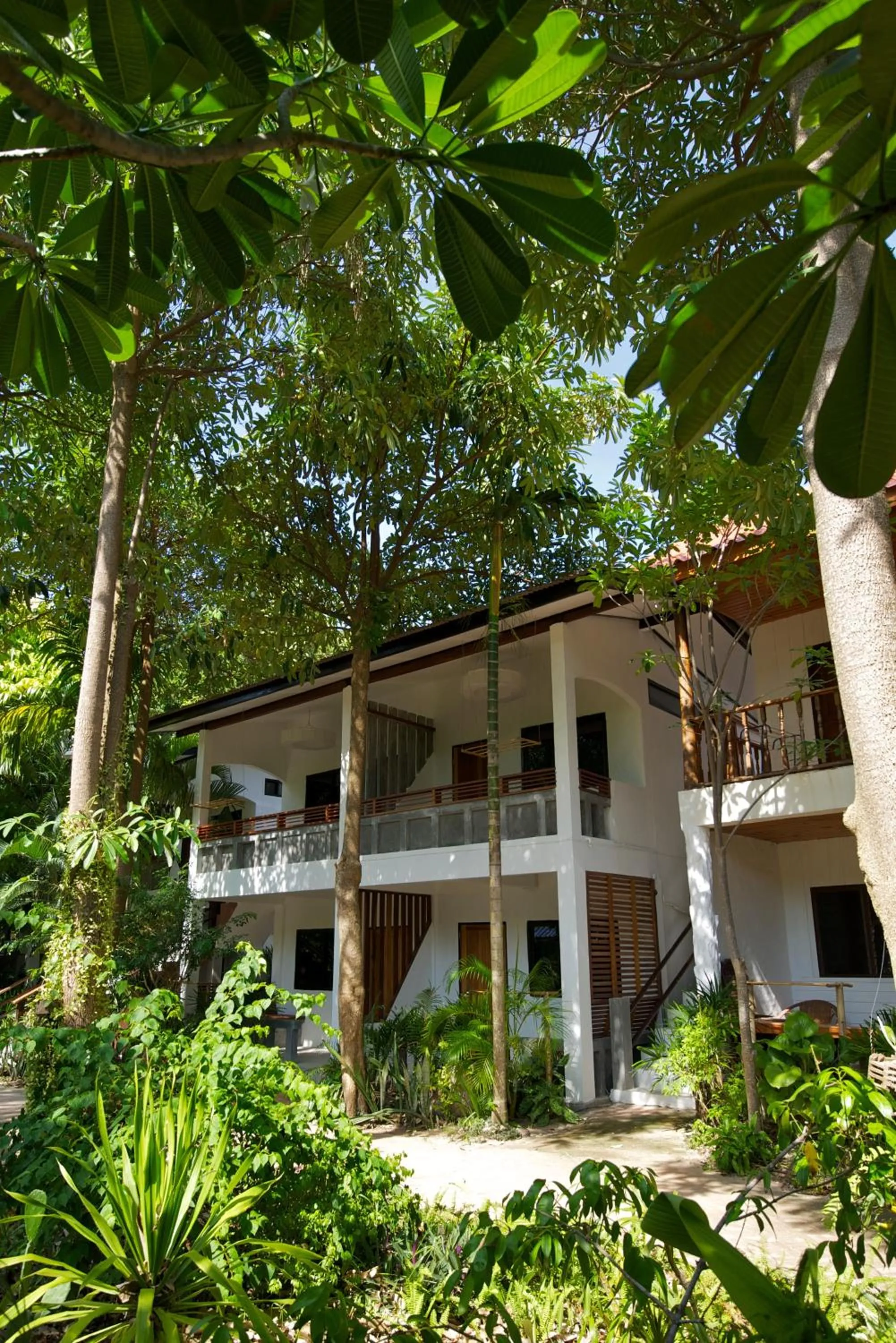 Garden in Fisherman Koh Tao