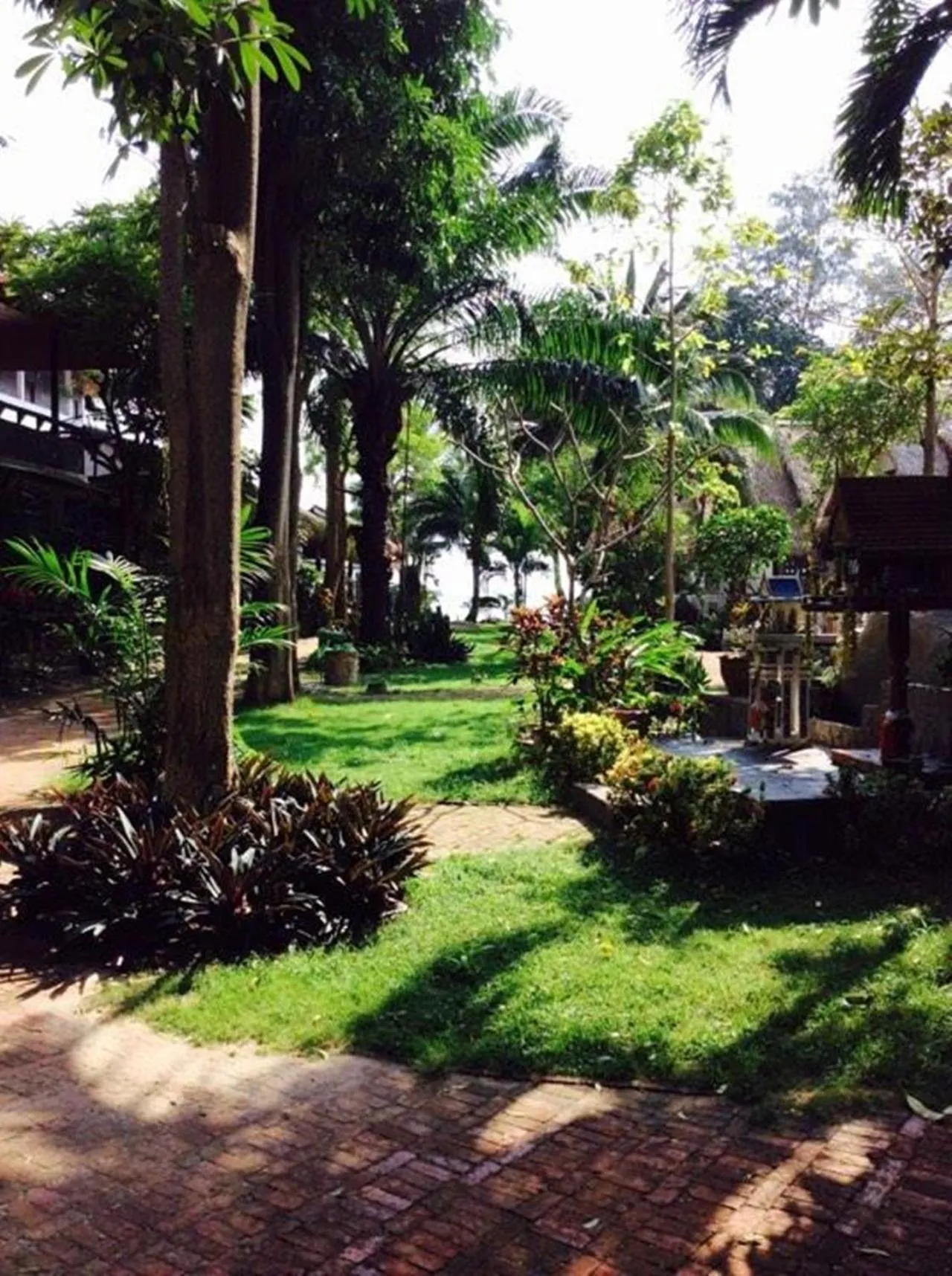 Garden in Fisherman Koh Tao