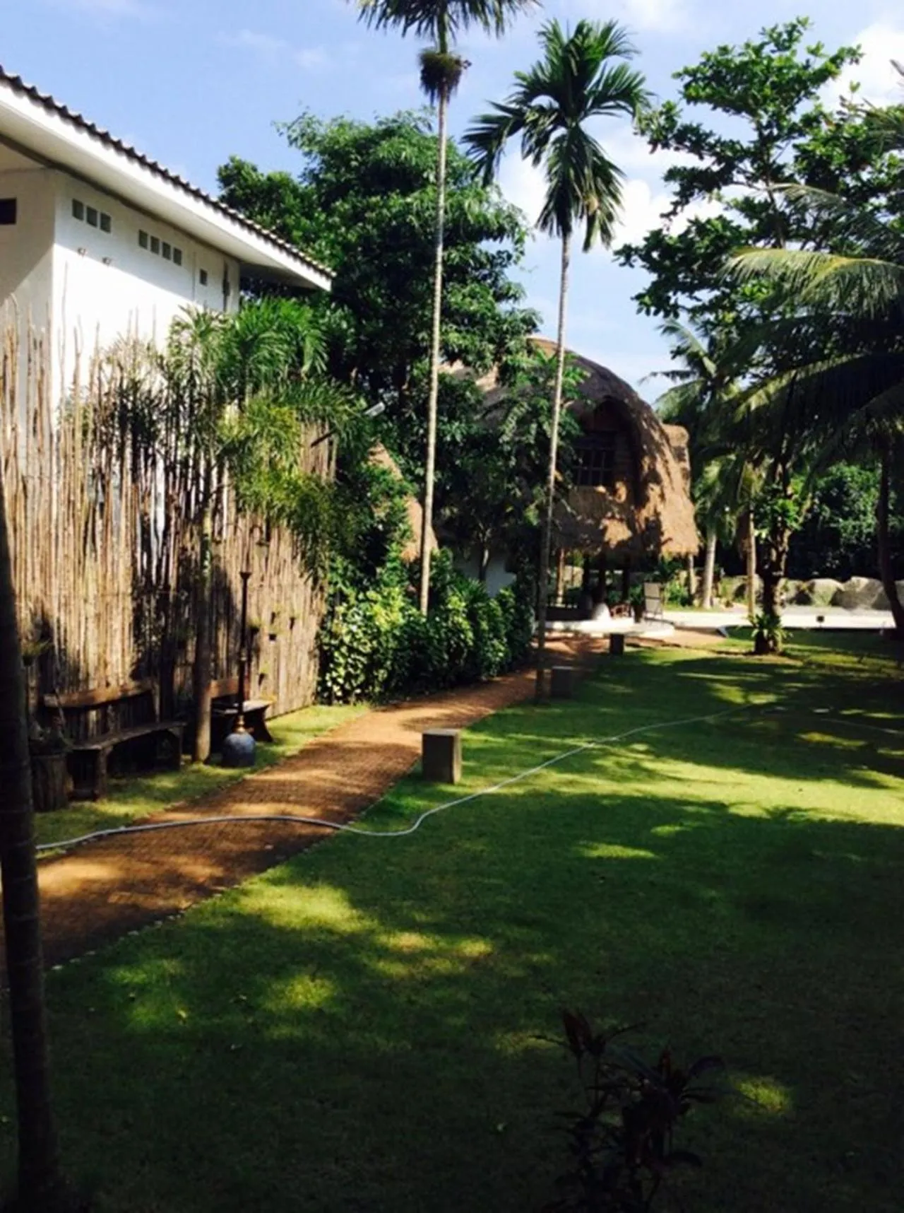 Garden in Fisherman Koh Tao