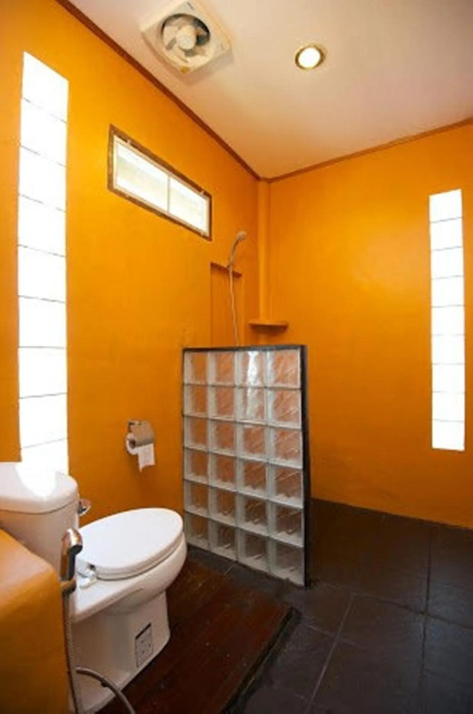 Toilet in Fisherman Koh Tao