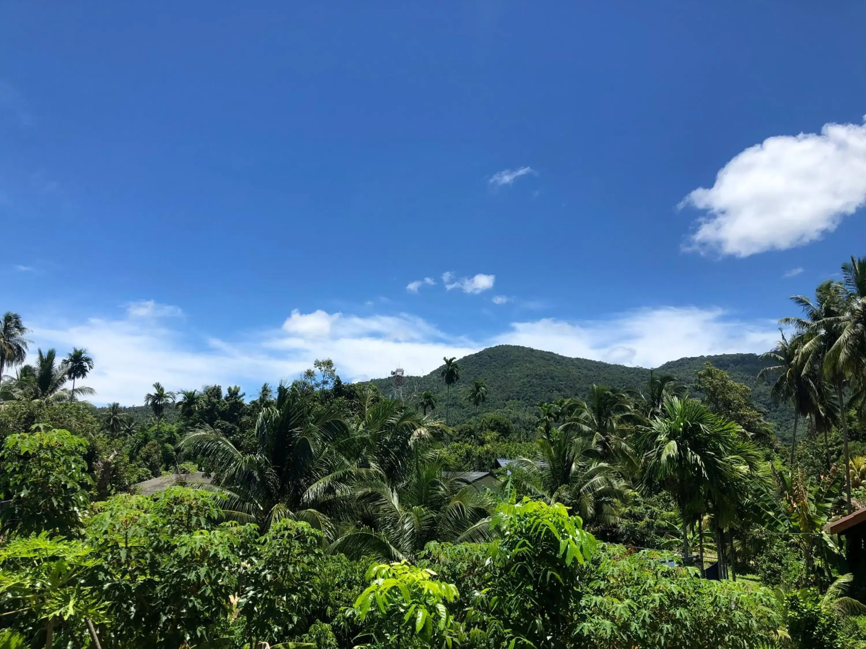 Mountain view in Yangyai Garden Lodge Mountain view in Yangyai Garden Lodge