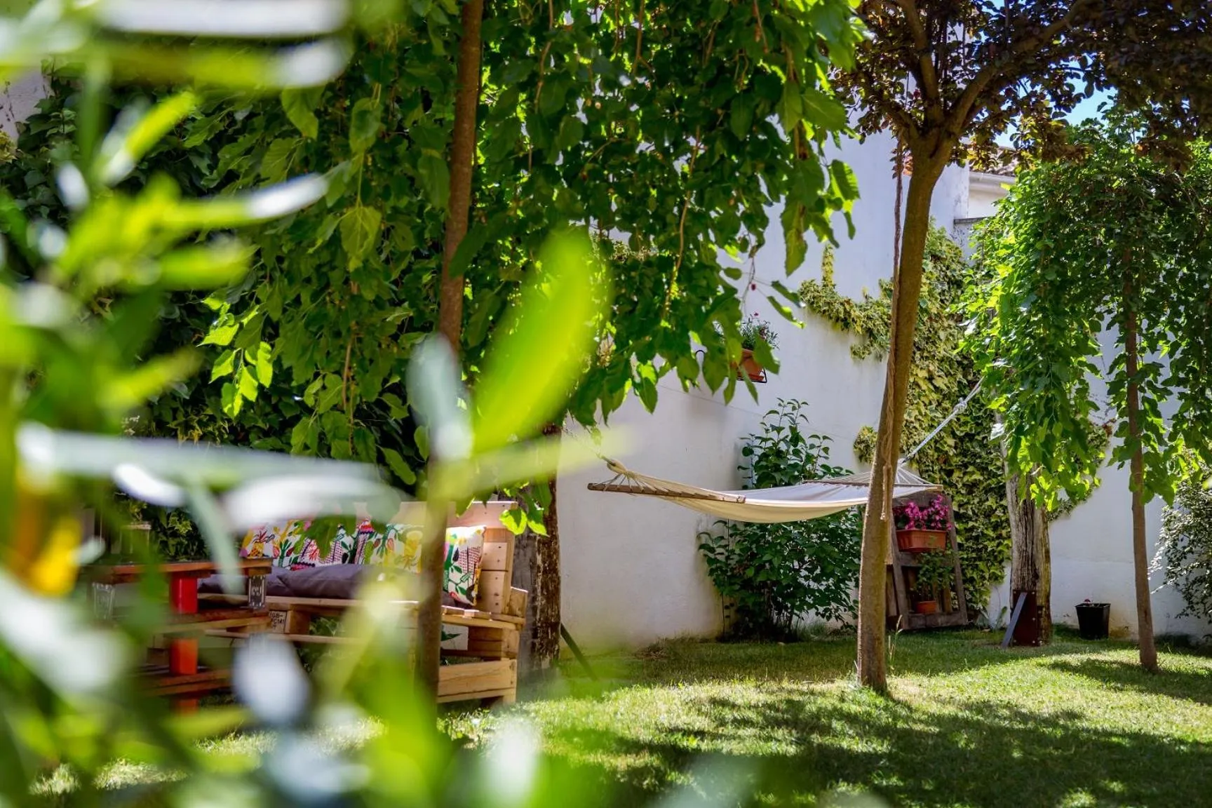 Garden in Eco-Hotel Doña Mayor