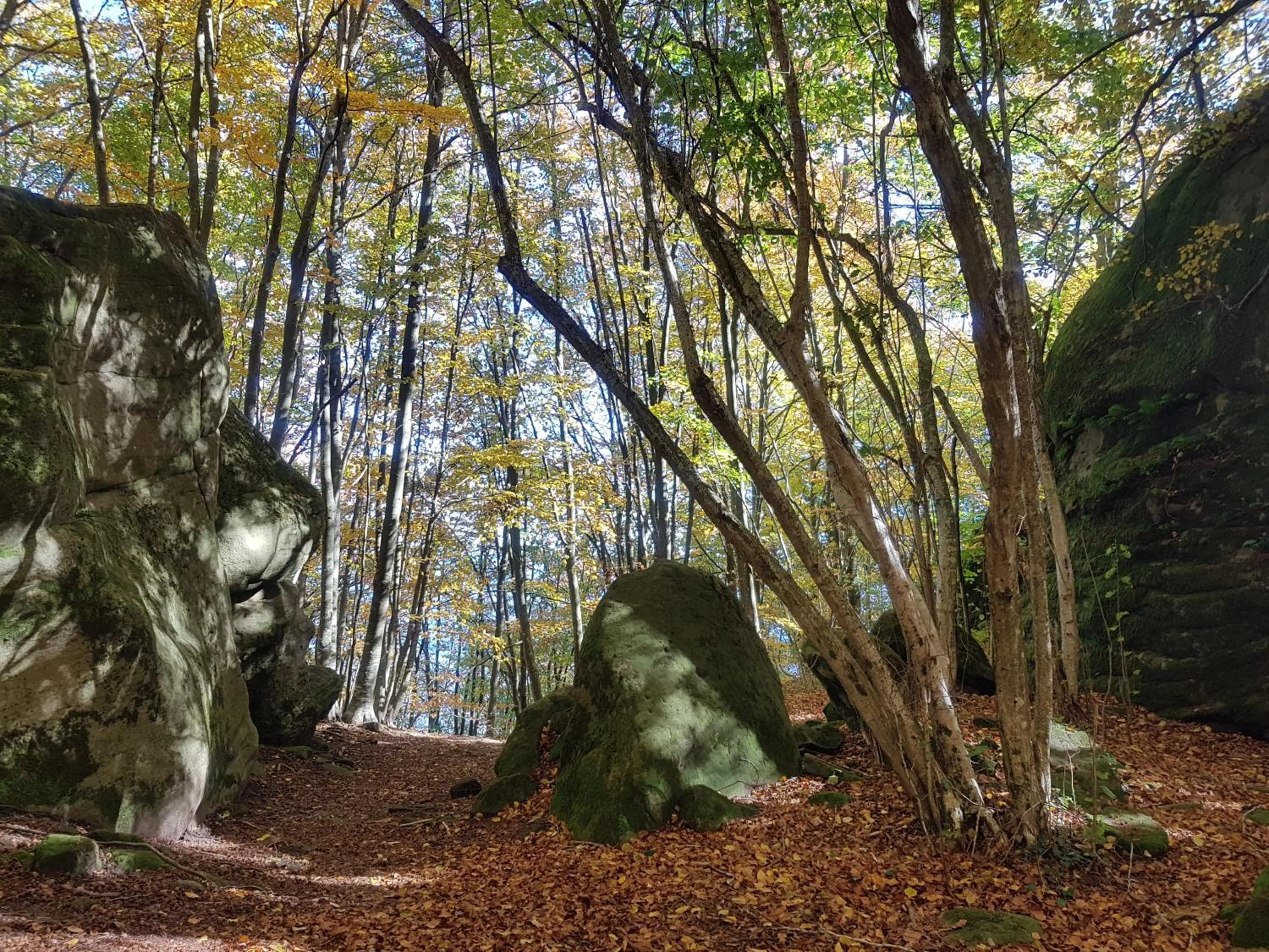 Natural landscape in Santuari de la Salut de Sant Feliu de Pallerols