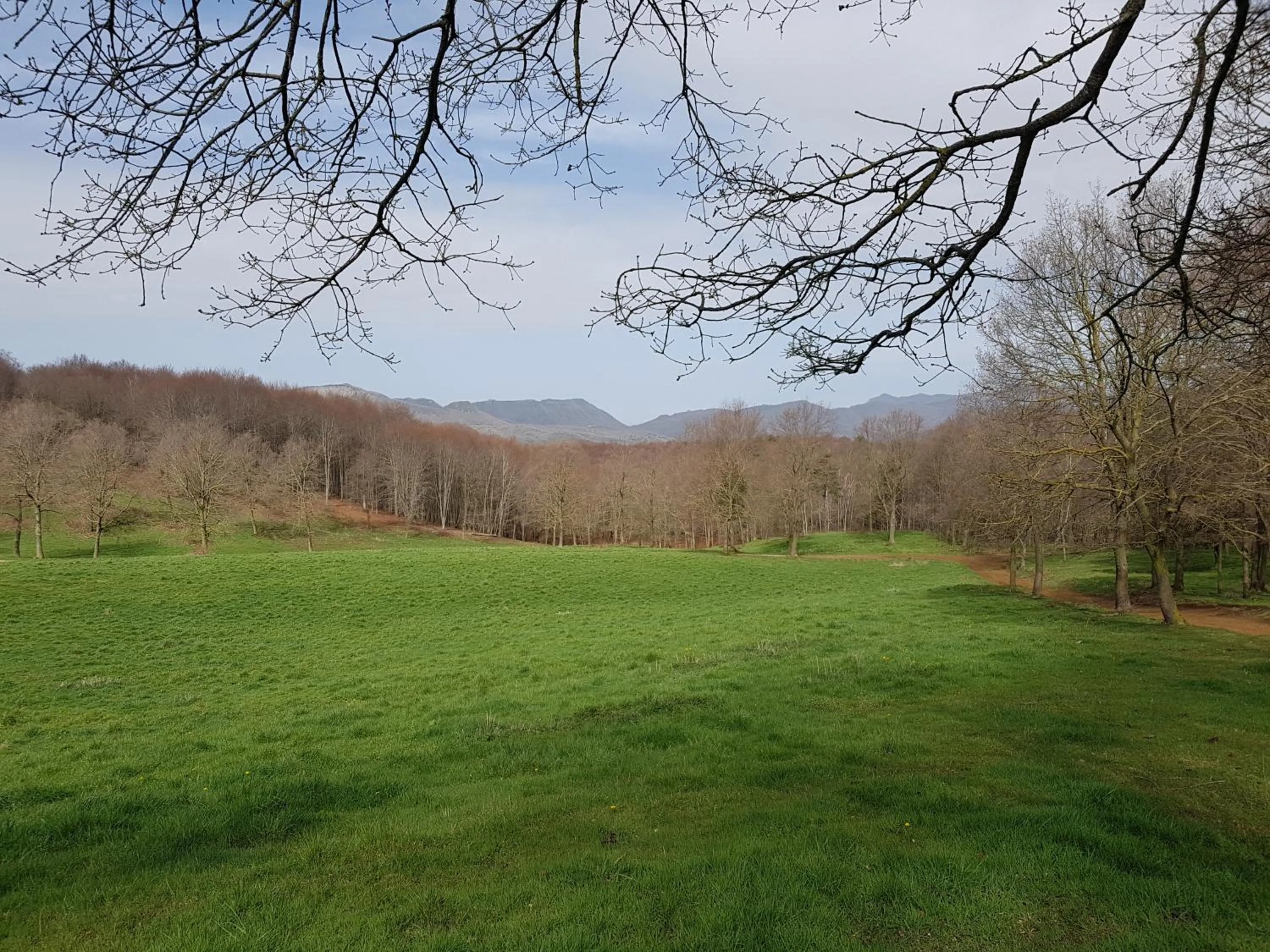 Natural landscape in Santuari de la Salut de Sant Feliu de Pallerols