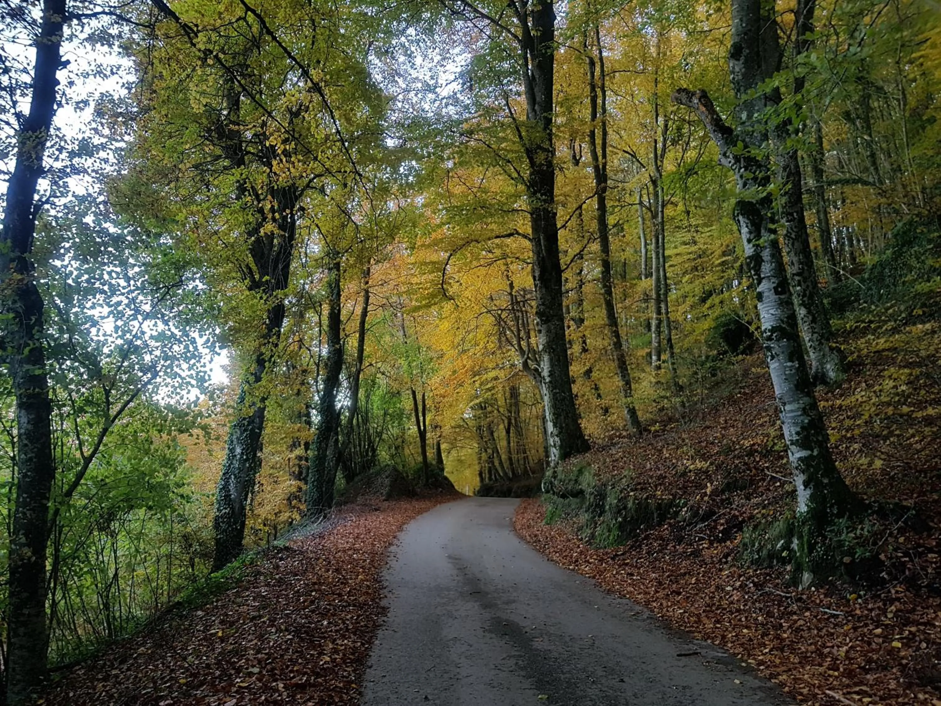 Natural landscape in Santuari de la Salut de Sant Feliu de Pallerols