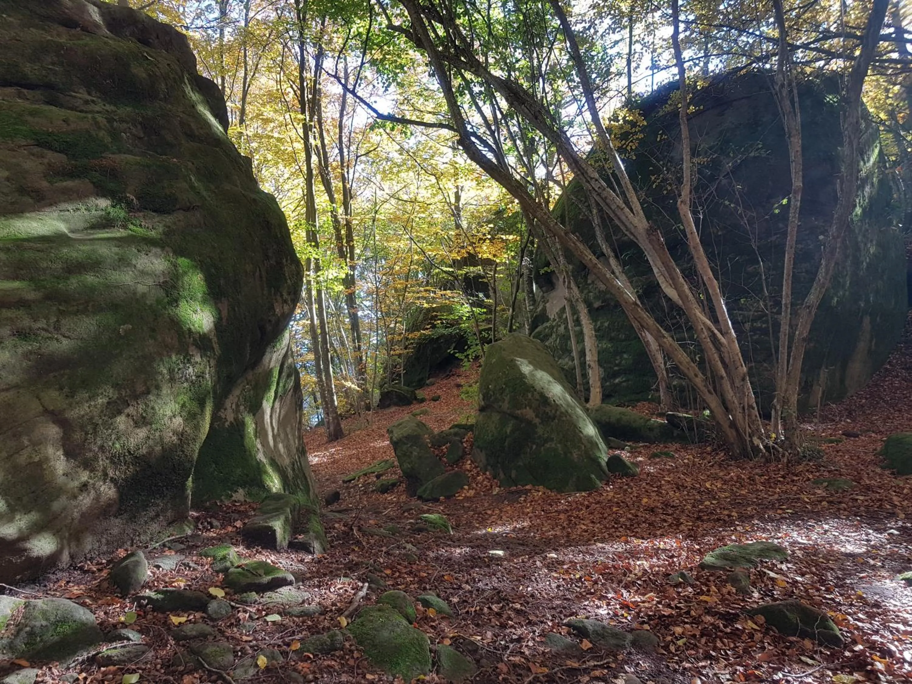 Natural landscape in Santuari de la Salut de Sant Feliu de Pallerols