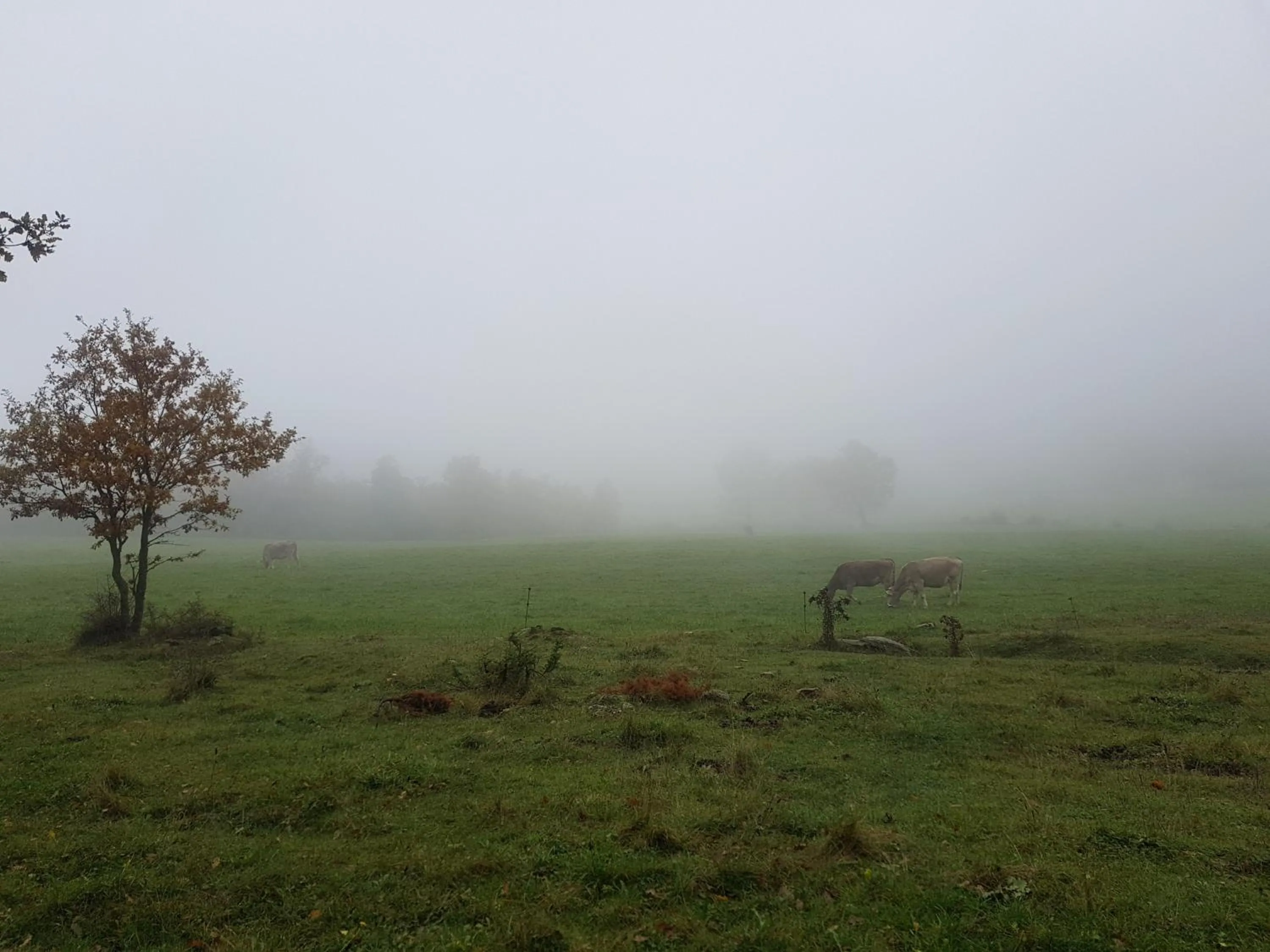 Natural landscape in Santuari de la Salut de Sant Feliu de Pallerols