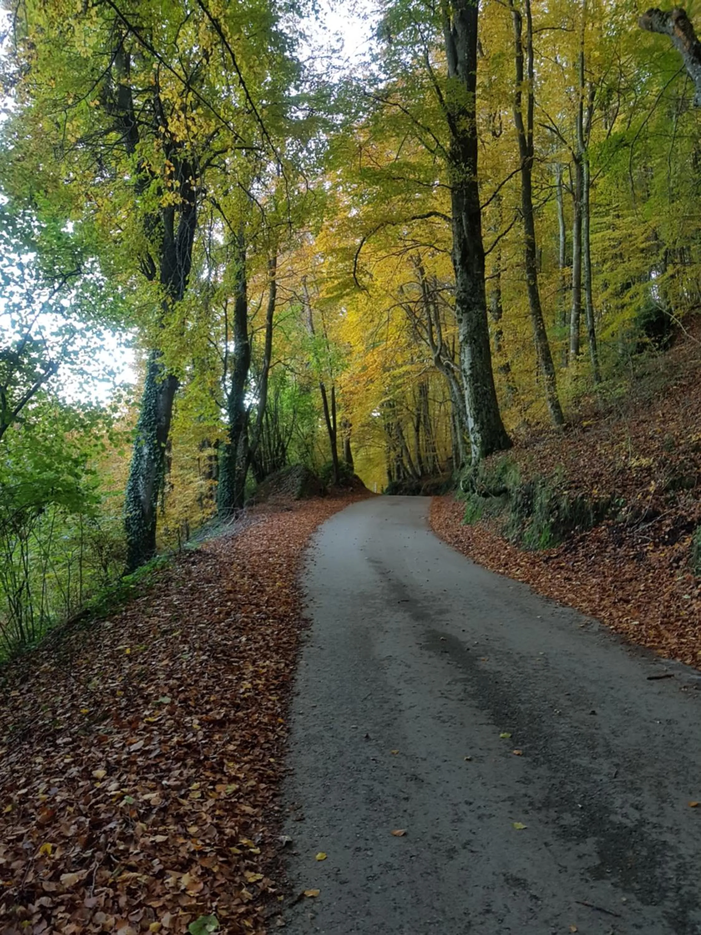 Natural landscape in Santuari de la Salut de Sant Feliu de Pallerols