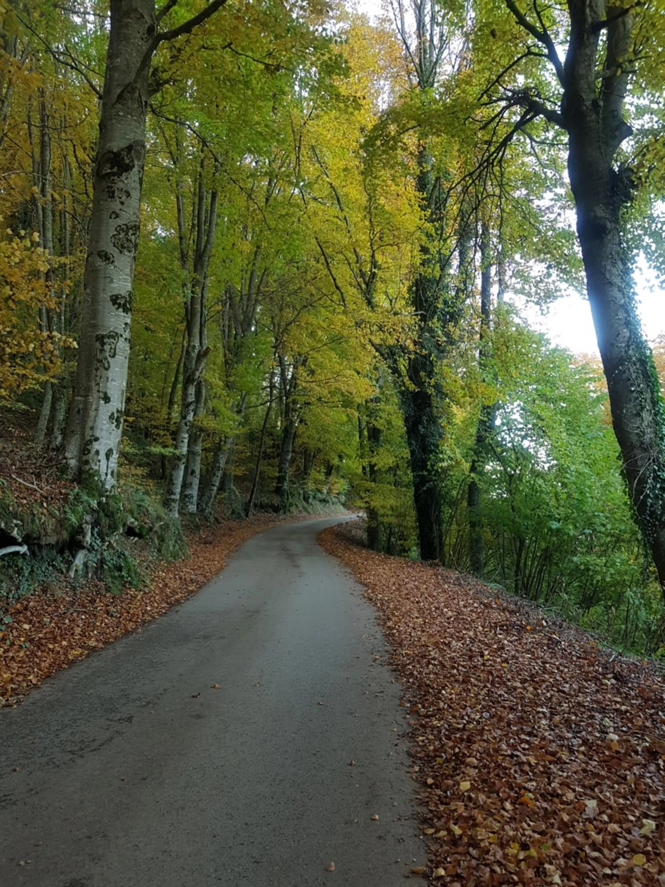 Natural landscape in Santuari de la Salut de Sant Feliu de Pallerols