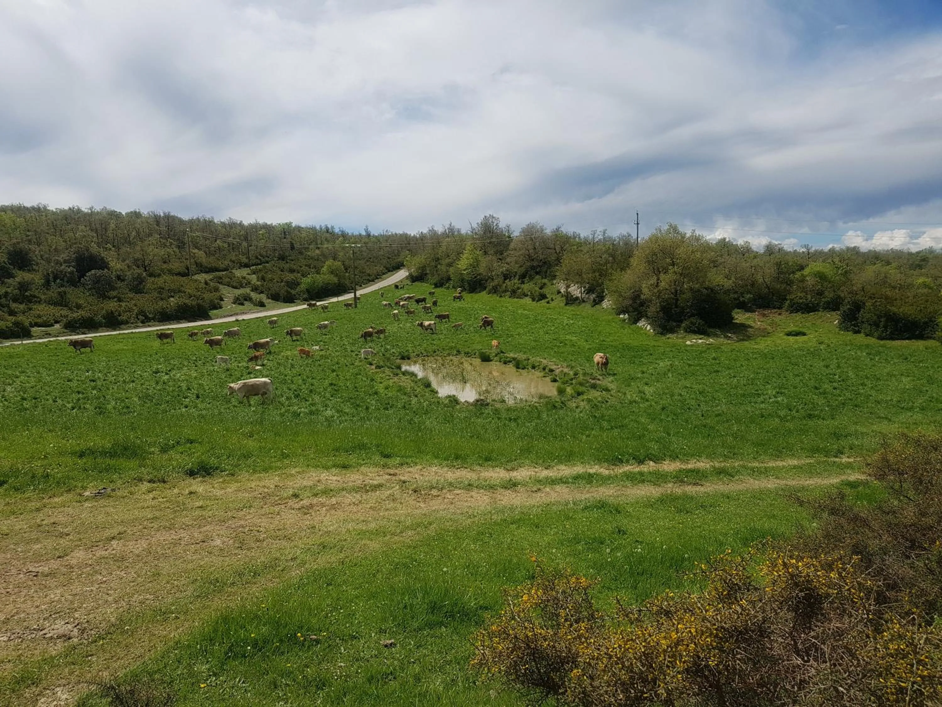 Natural landscape in Santuari de la Salut de Sant Feliu de Pallerols