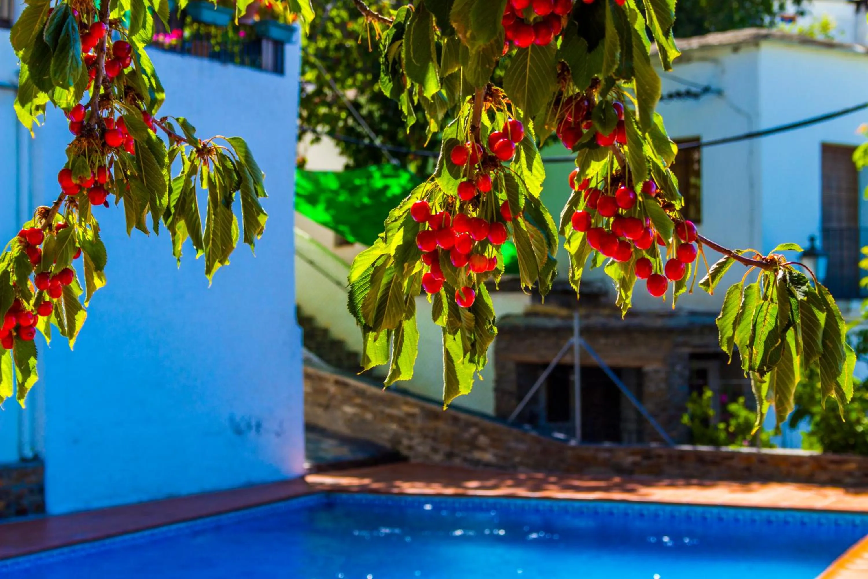 Swimming pool in Hotel Rural Real de Poqueira