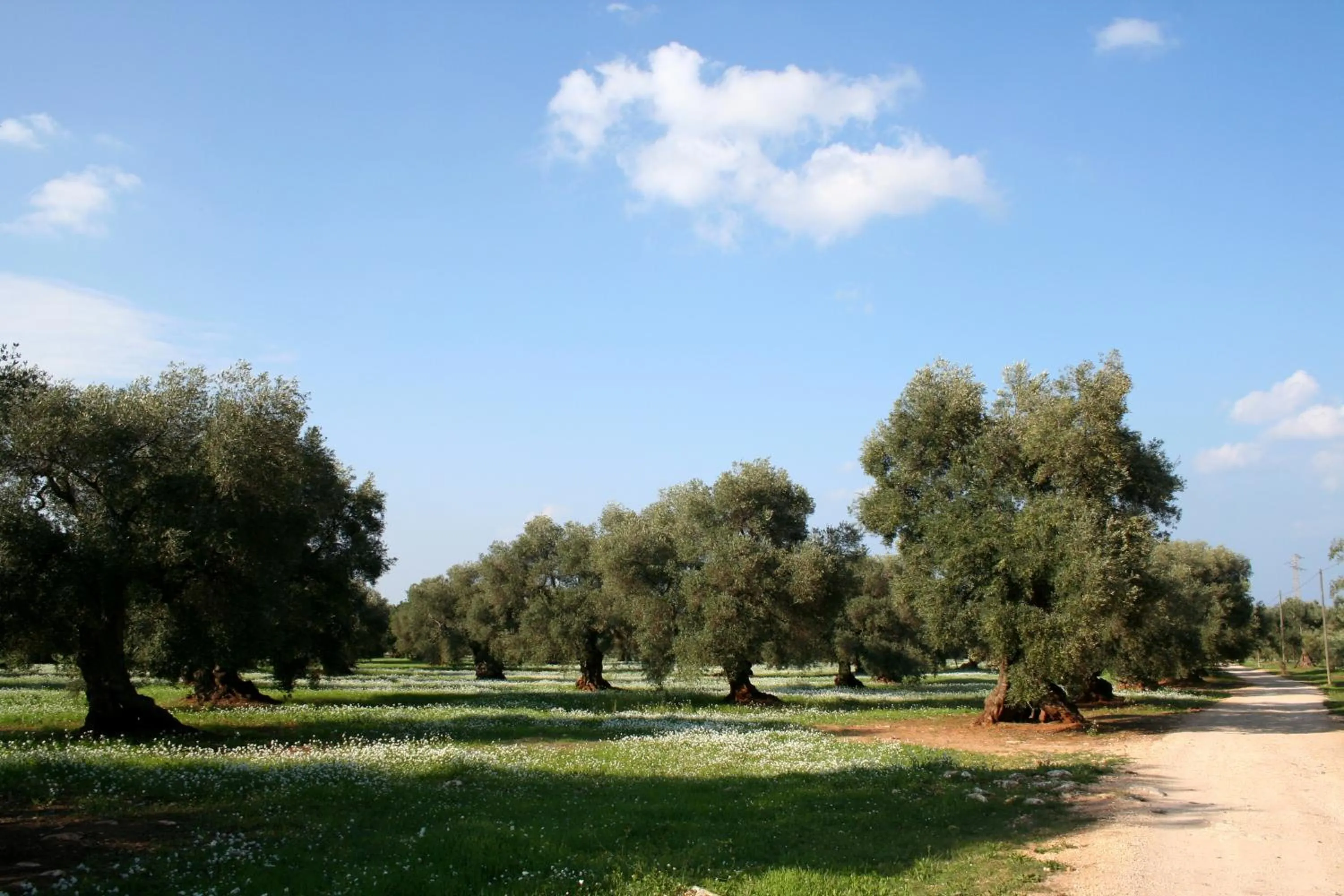 Area and facilities in Masseria Morrone