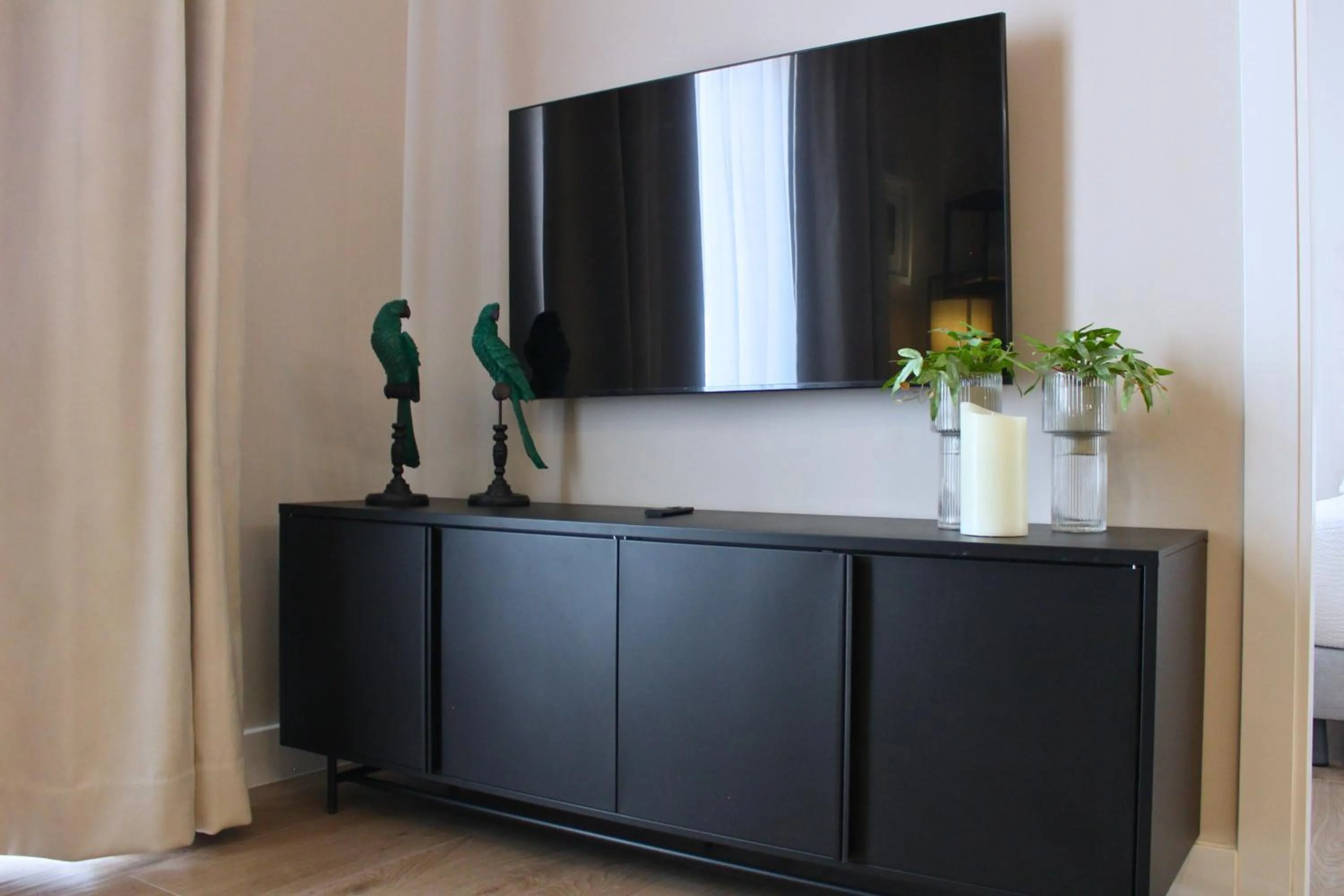 TV and multimedia in Valencia Apartamentos Goya