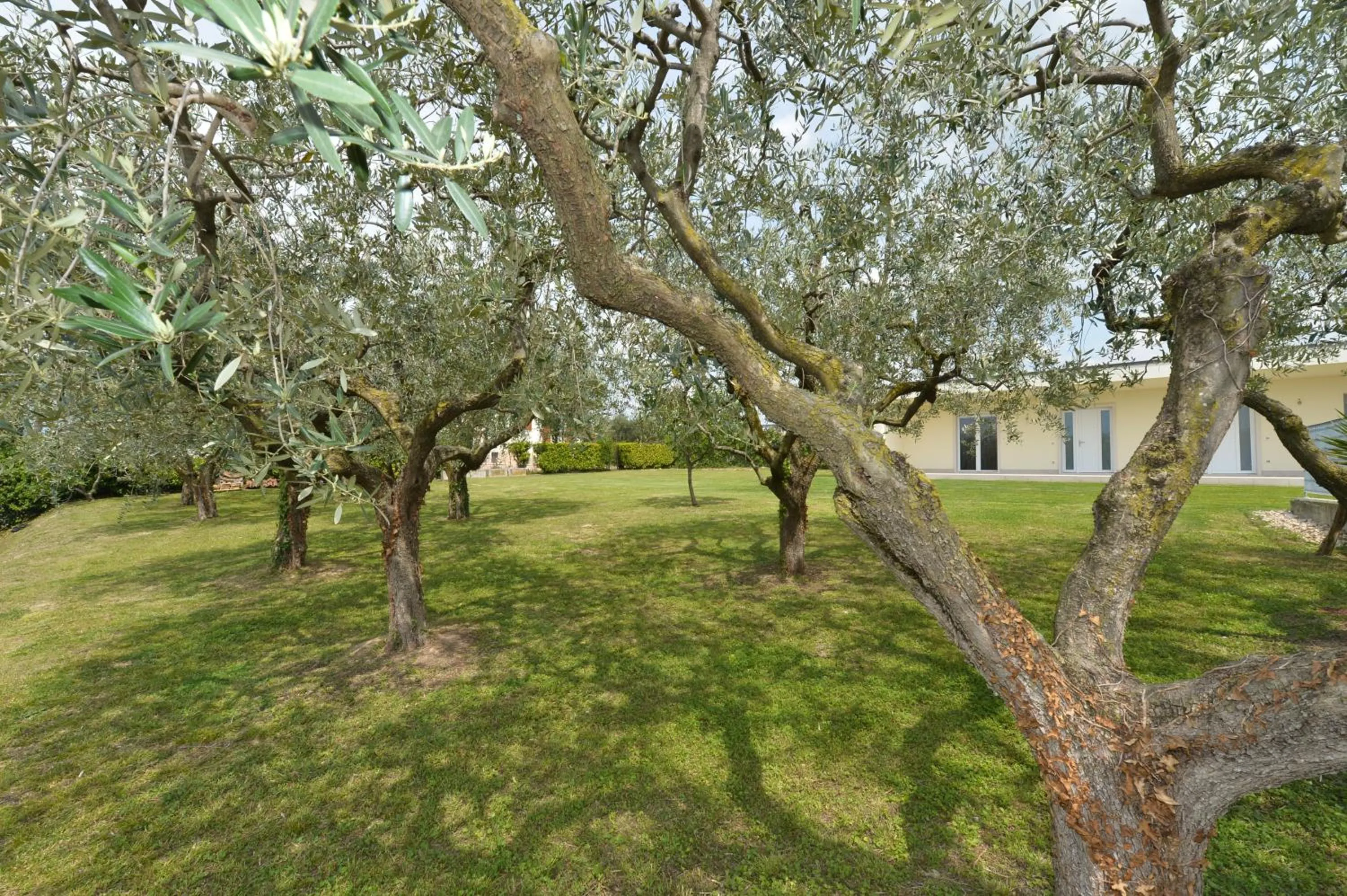 Natural landscape in Hotel Panoramica