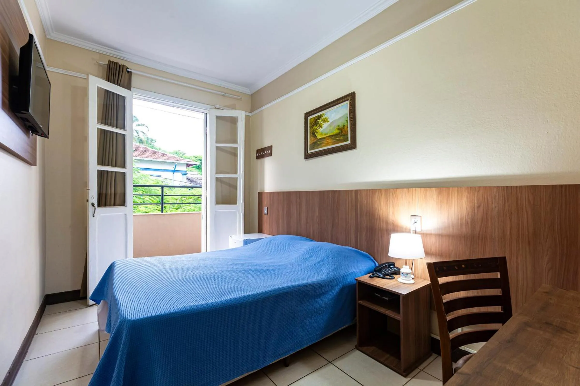 Standard Double Room in Hotel Excelsior