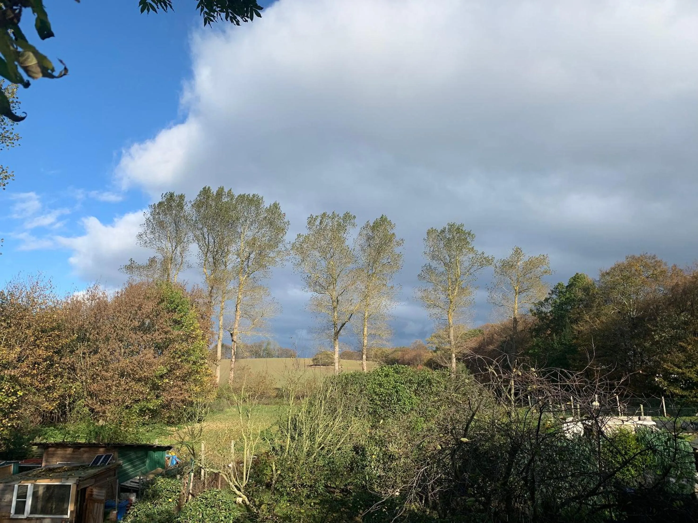 Natural landscape in Himmelreich Rügen