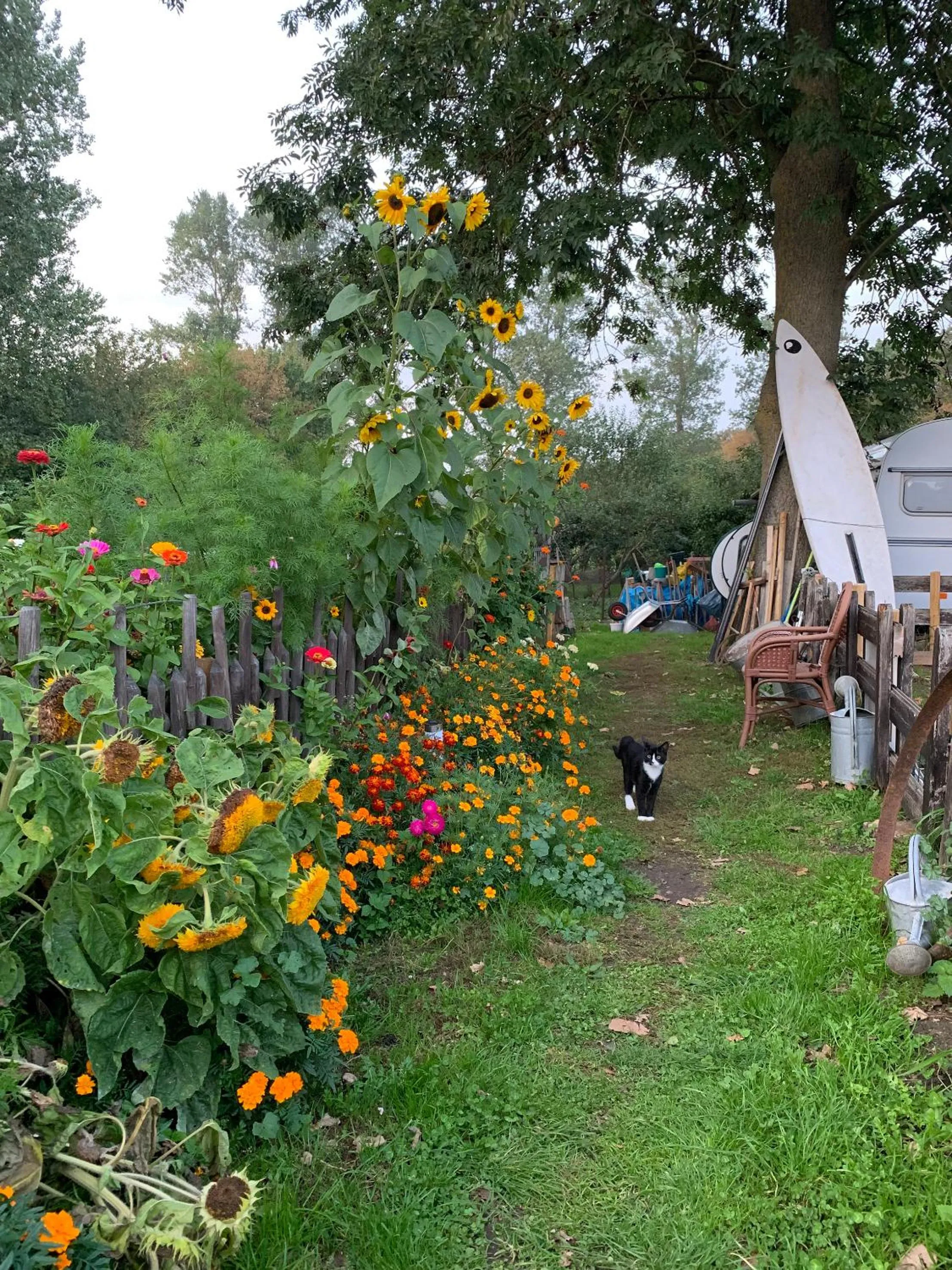 Garden in Himmelreich Rügen