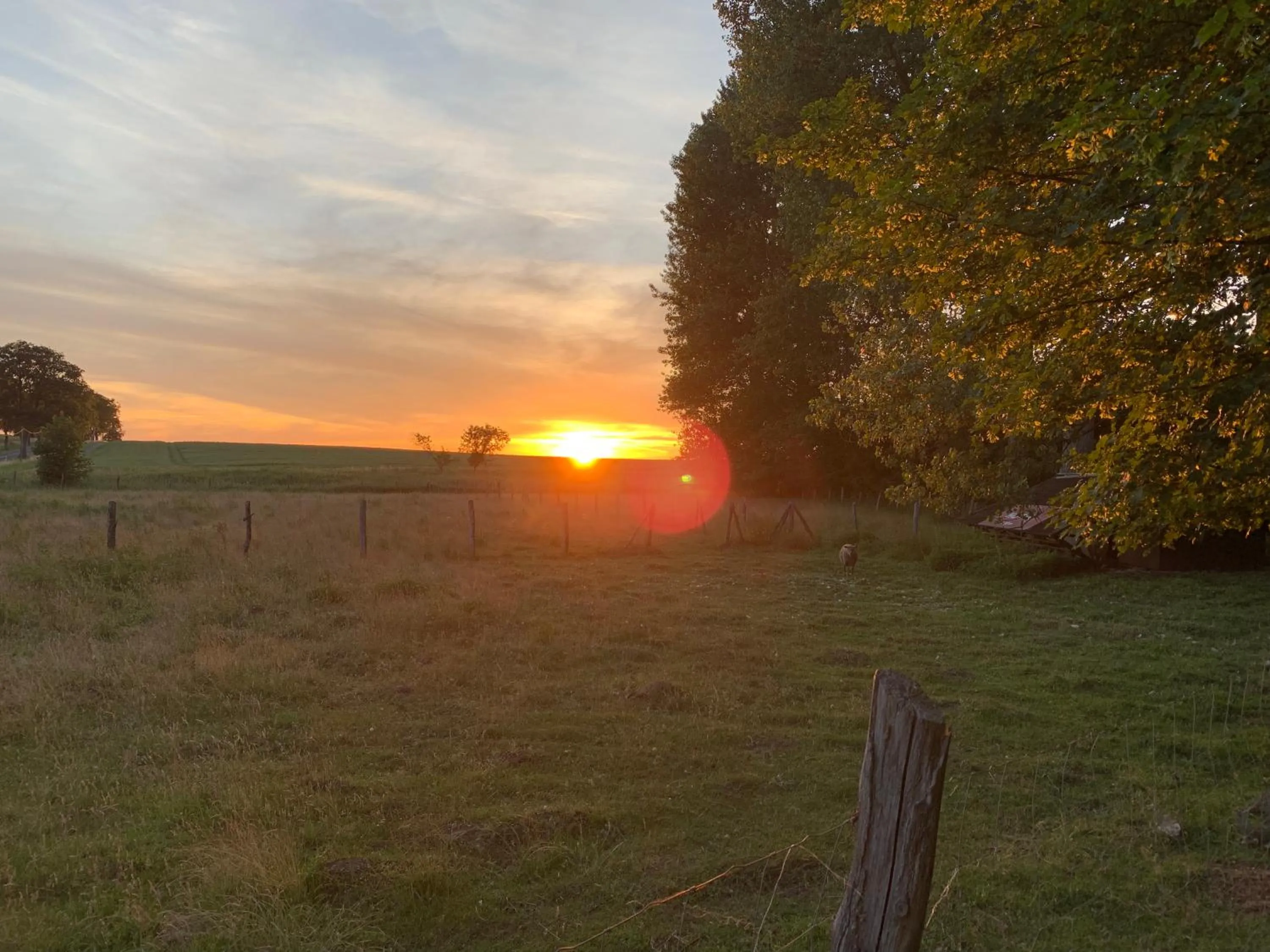 Natural landscape in Himmelreich Rügen