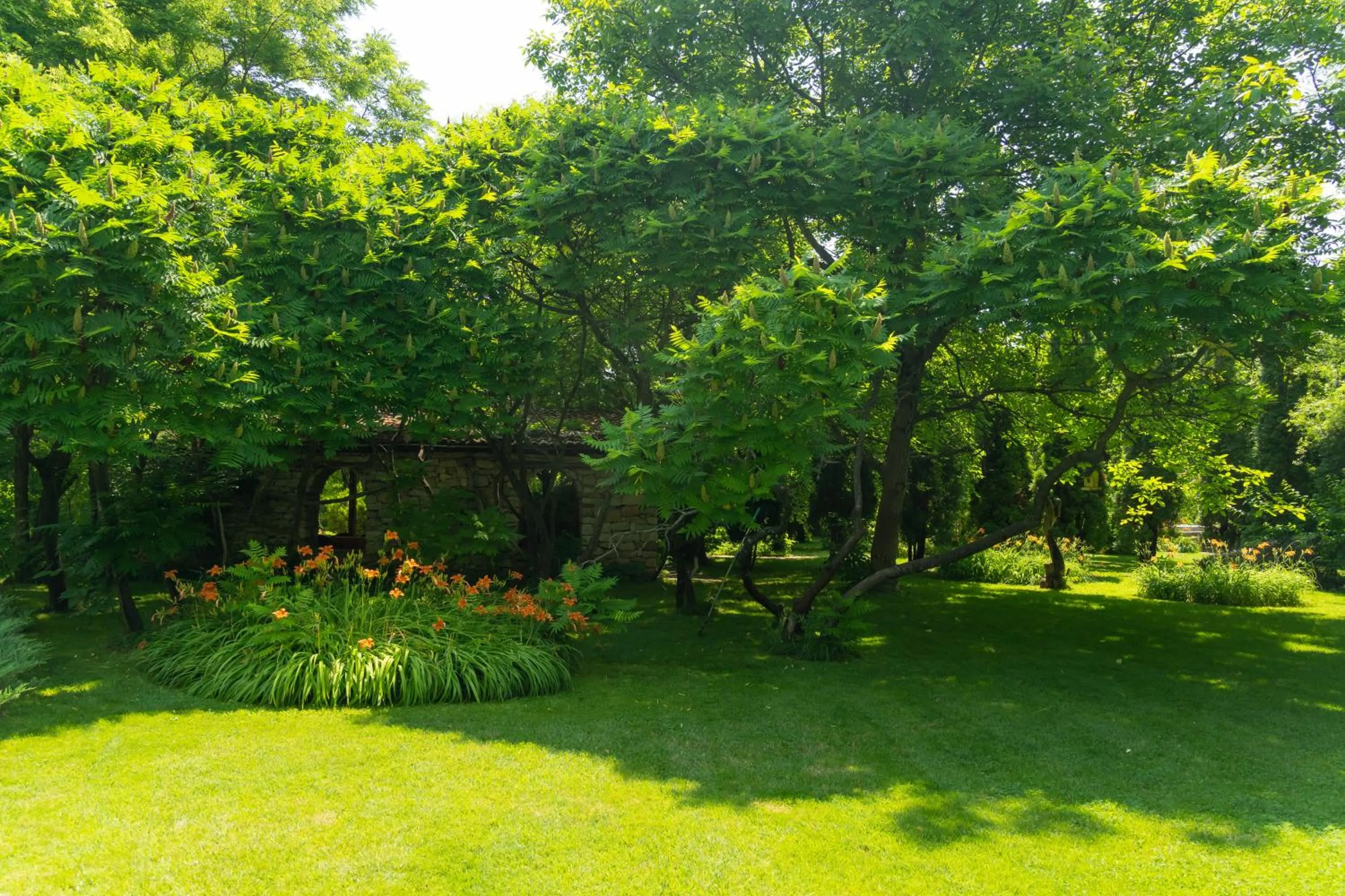 Garden in Eco Hotel Imenieto