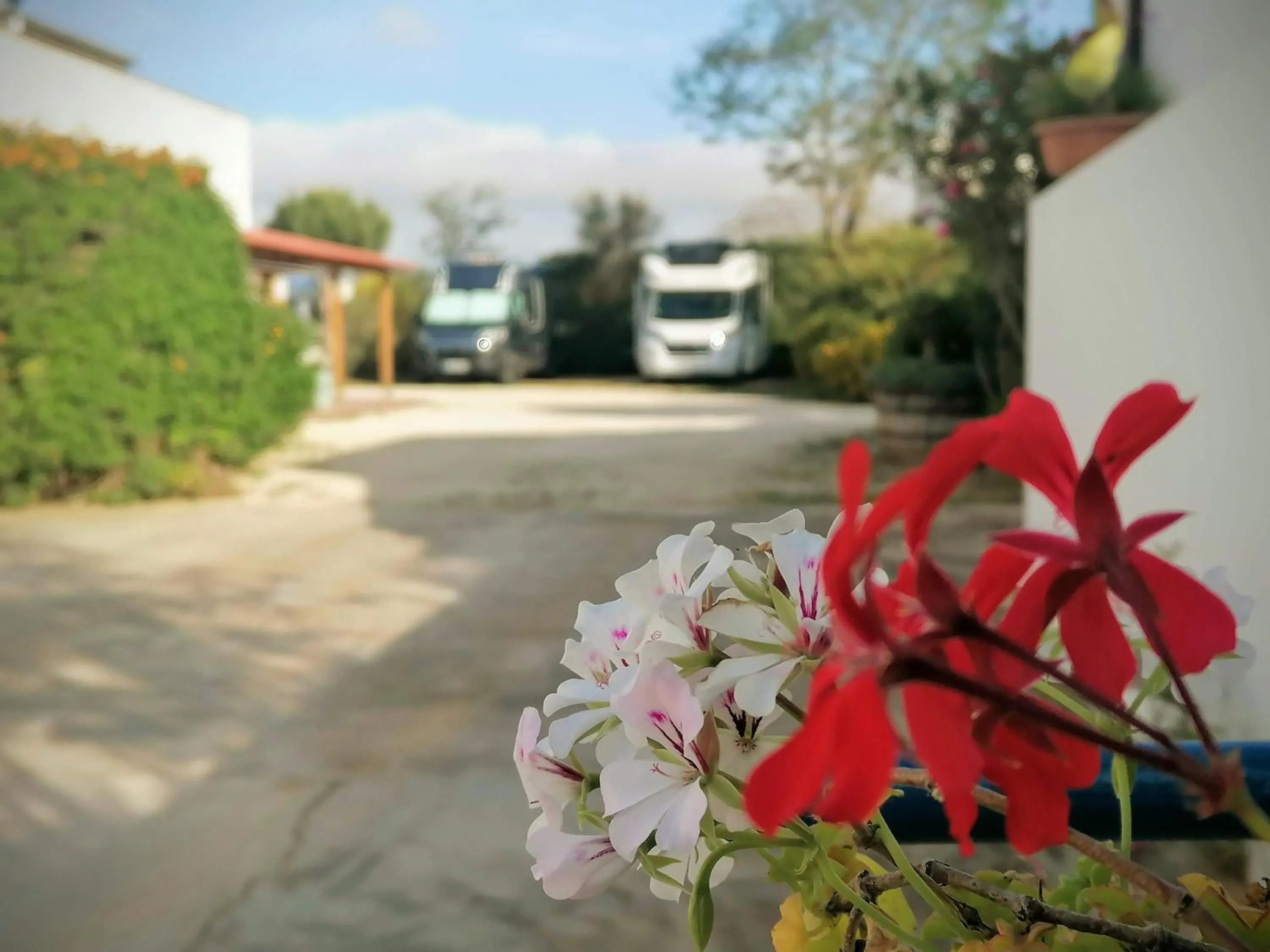 Parking in Lilybeo Village