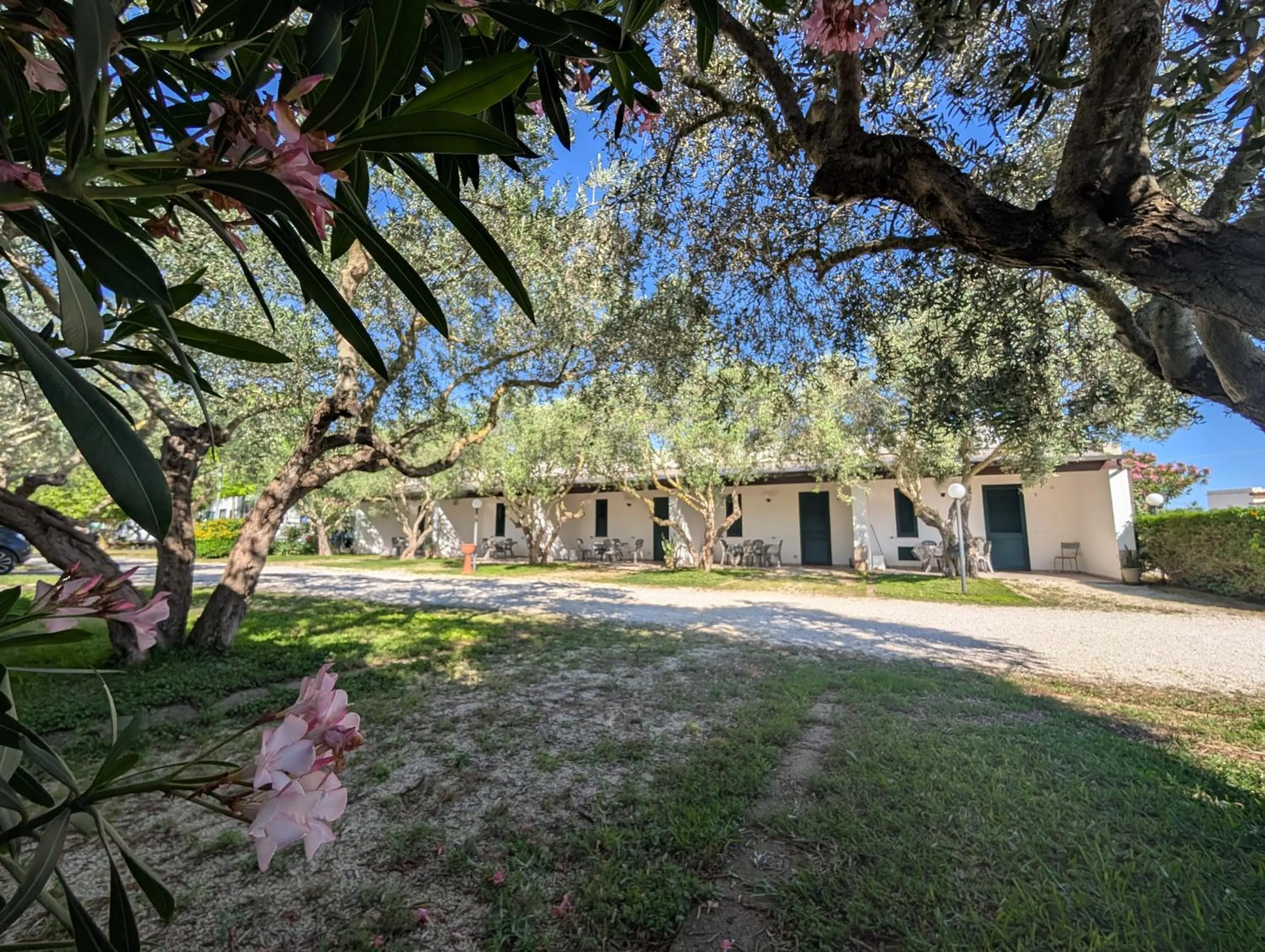 Property building in Lilybeo Village