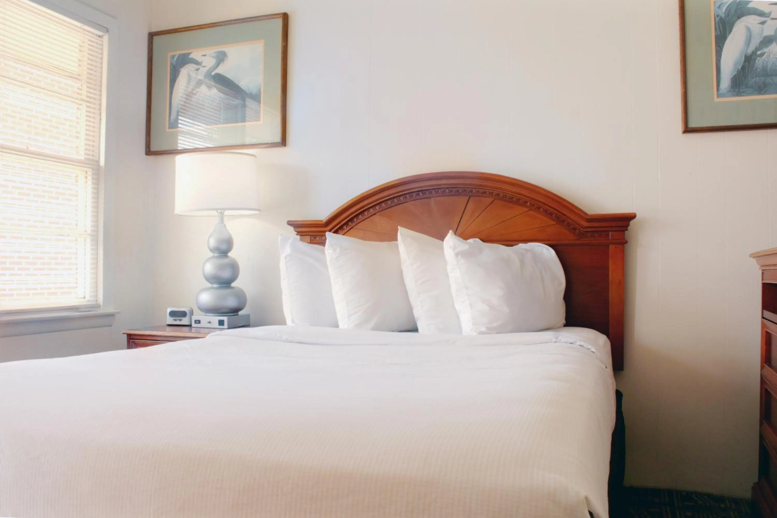 Bed in Oceanic Motel