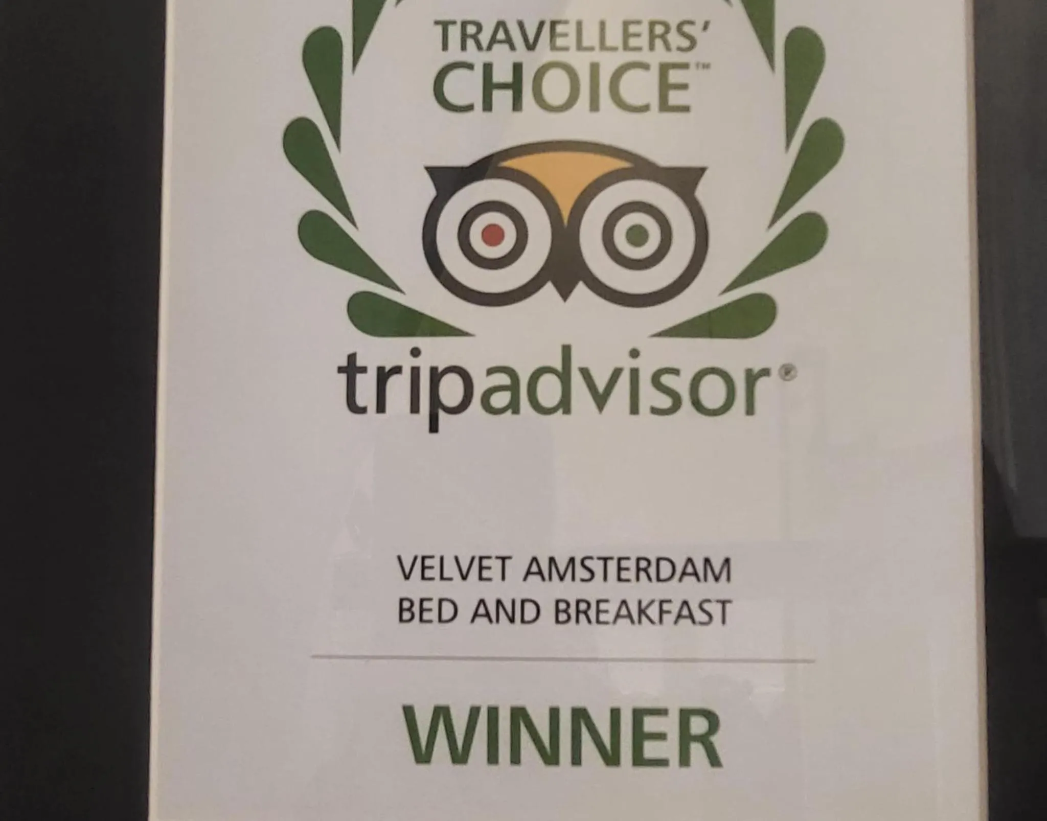 Velvetamsterdam