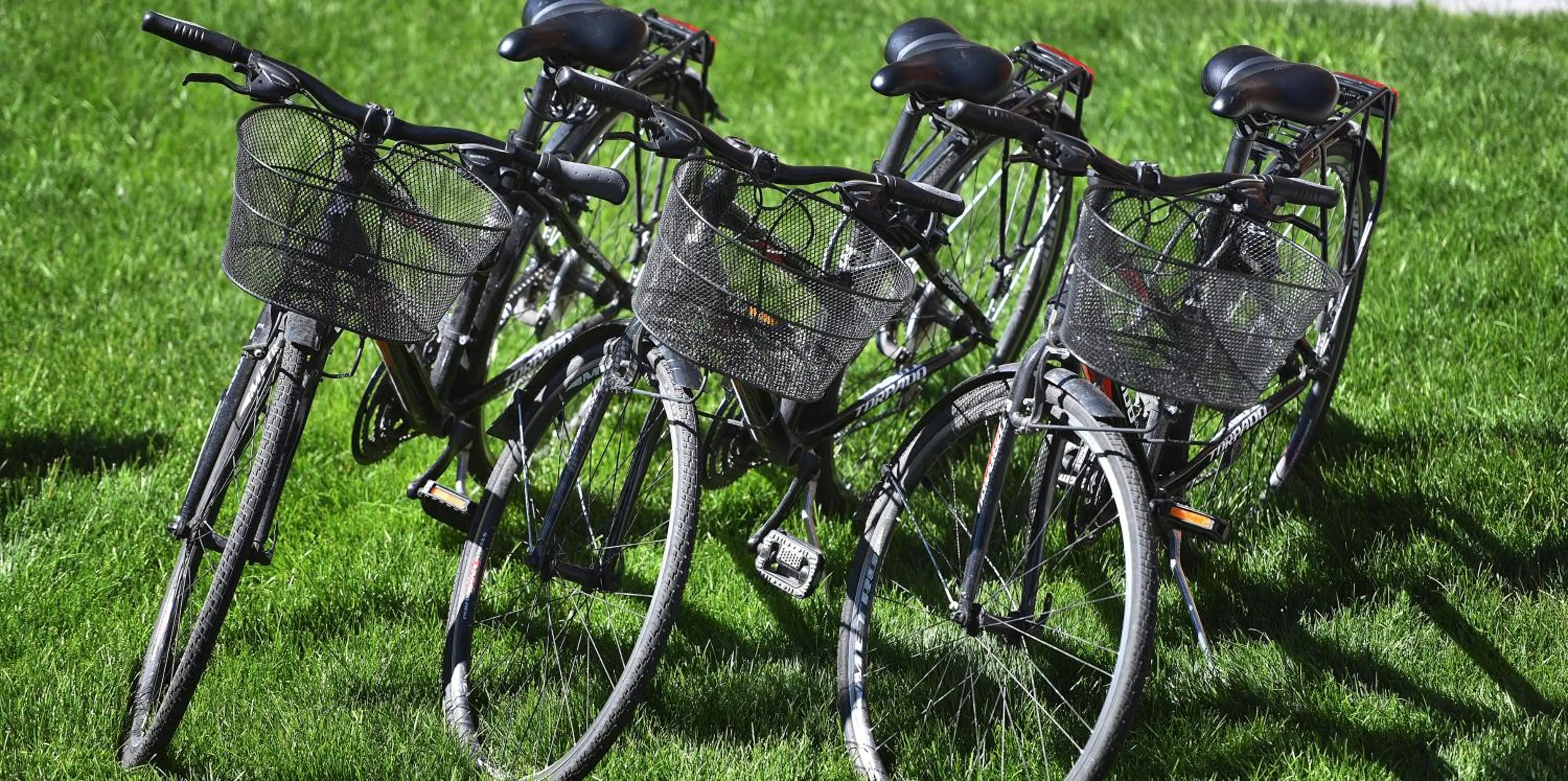 Cycling in Hotel Roberta Alpine Adults only