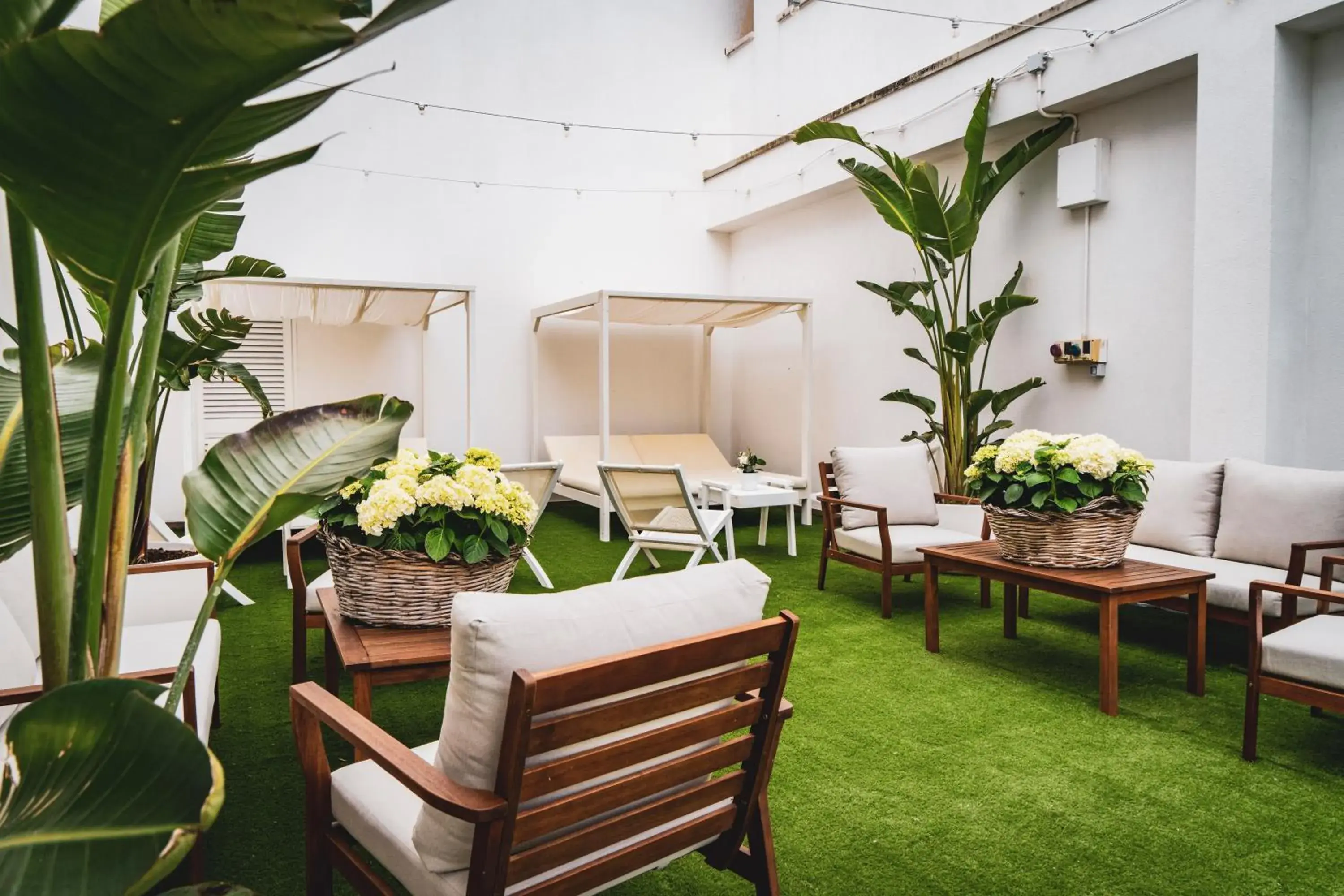 sunbed in Hotel Majesty Alberobello sunbed in Hotel Majesty Alberobello