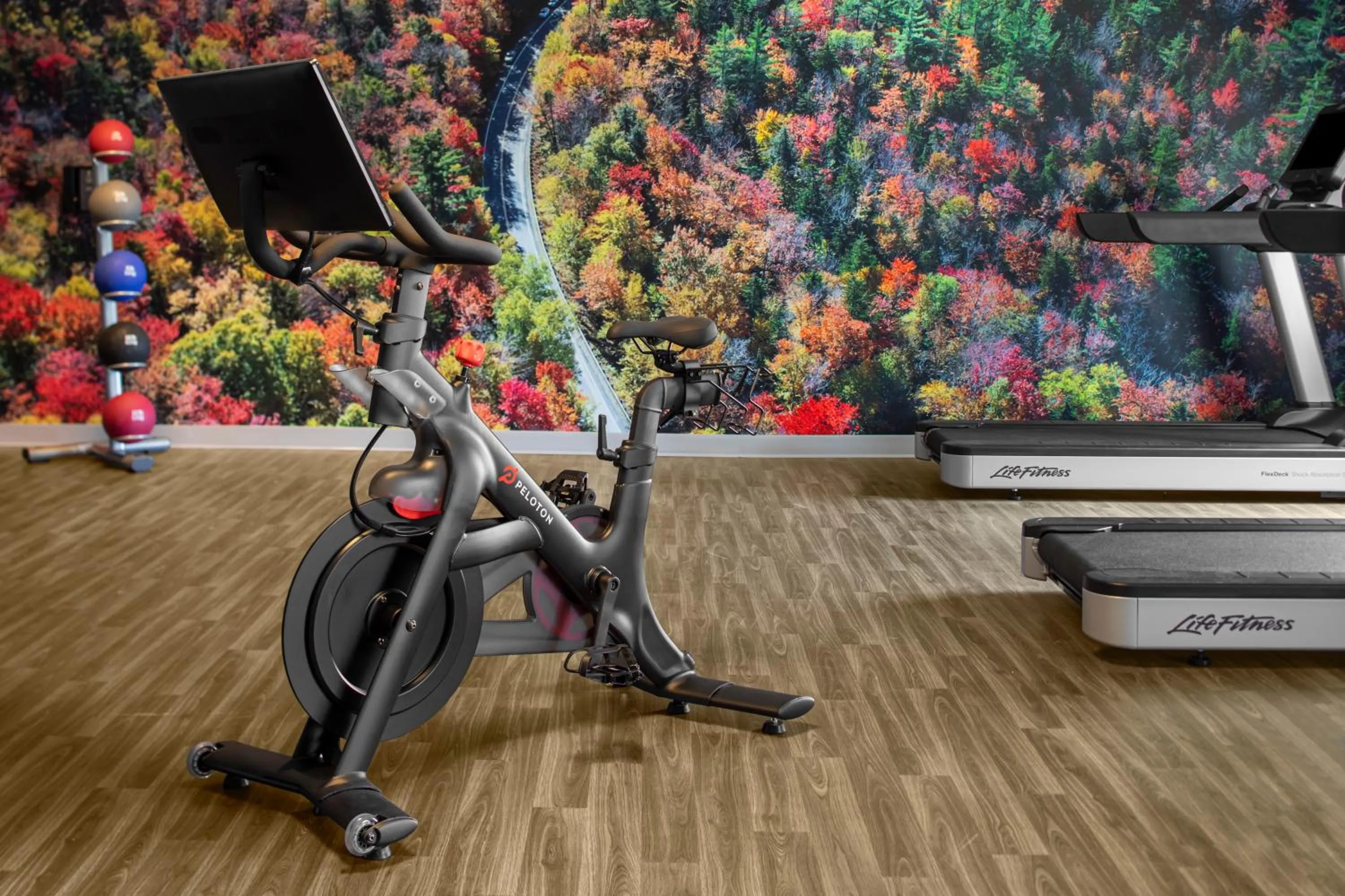 Fitness centre/facilities in Hyatt Place Boston/Braintree